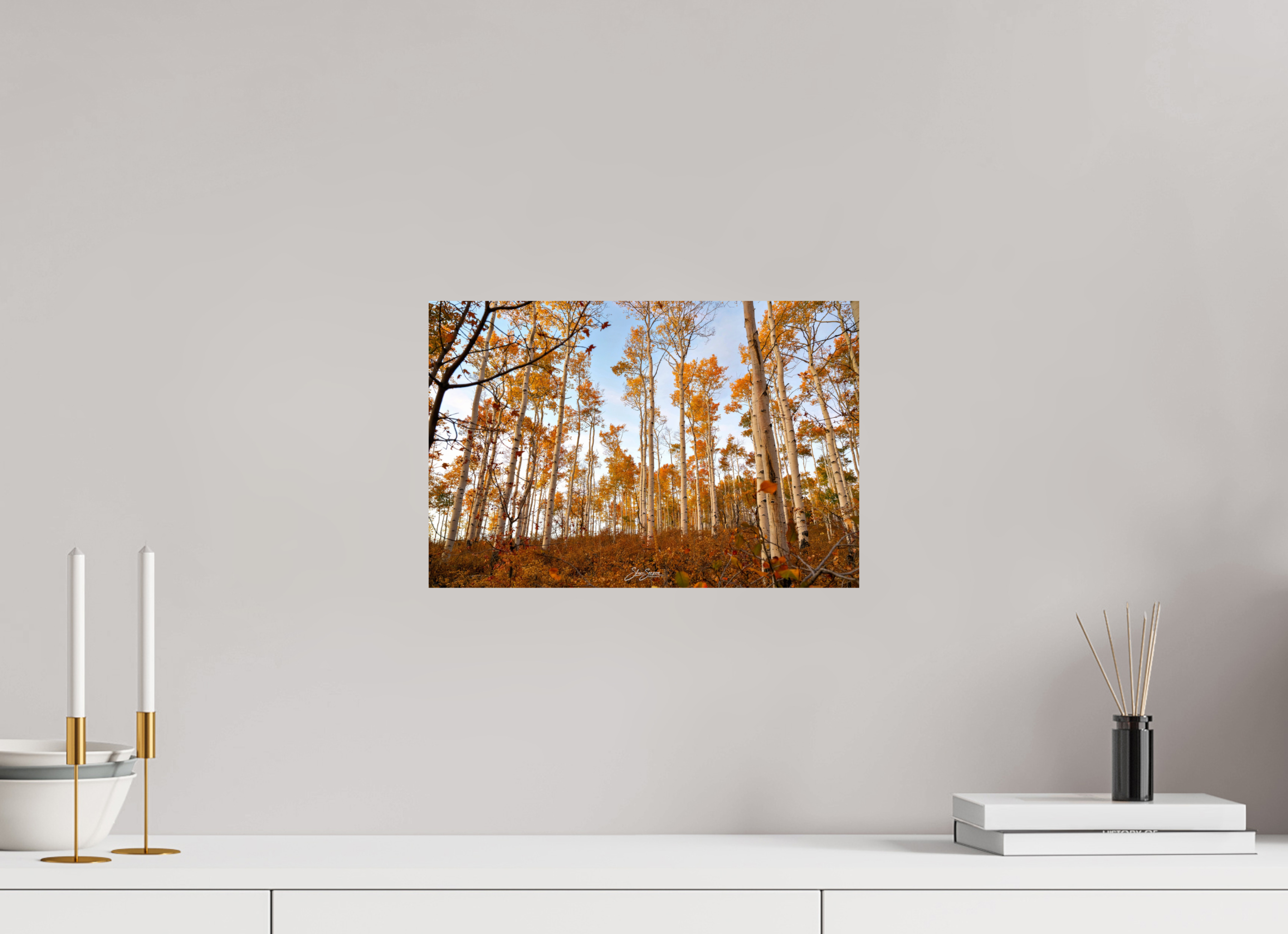 15 x 10″, Photo Print On Fuji Crystal DP II aspen