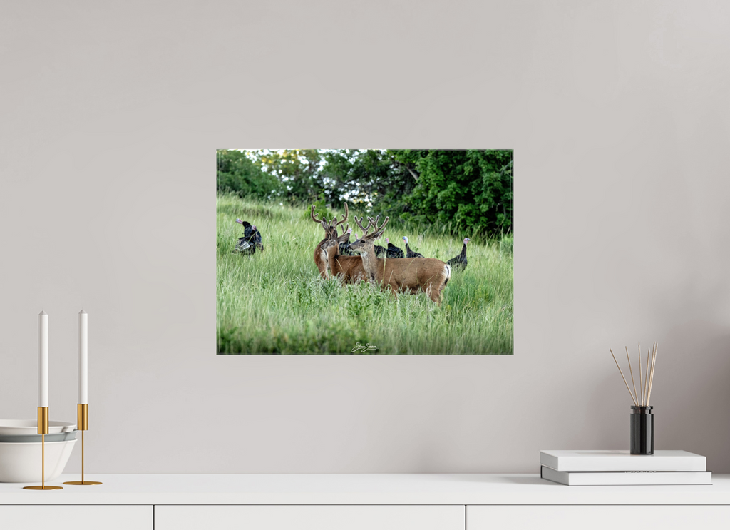 17.6 x 12″, Canvas Turky Deer