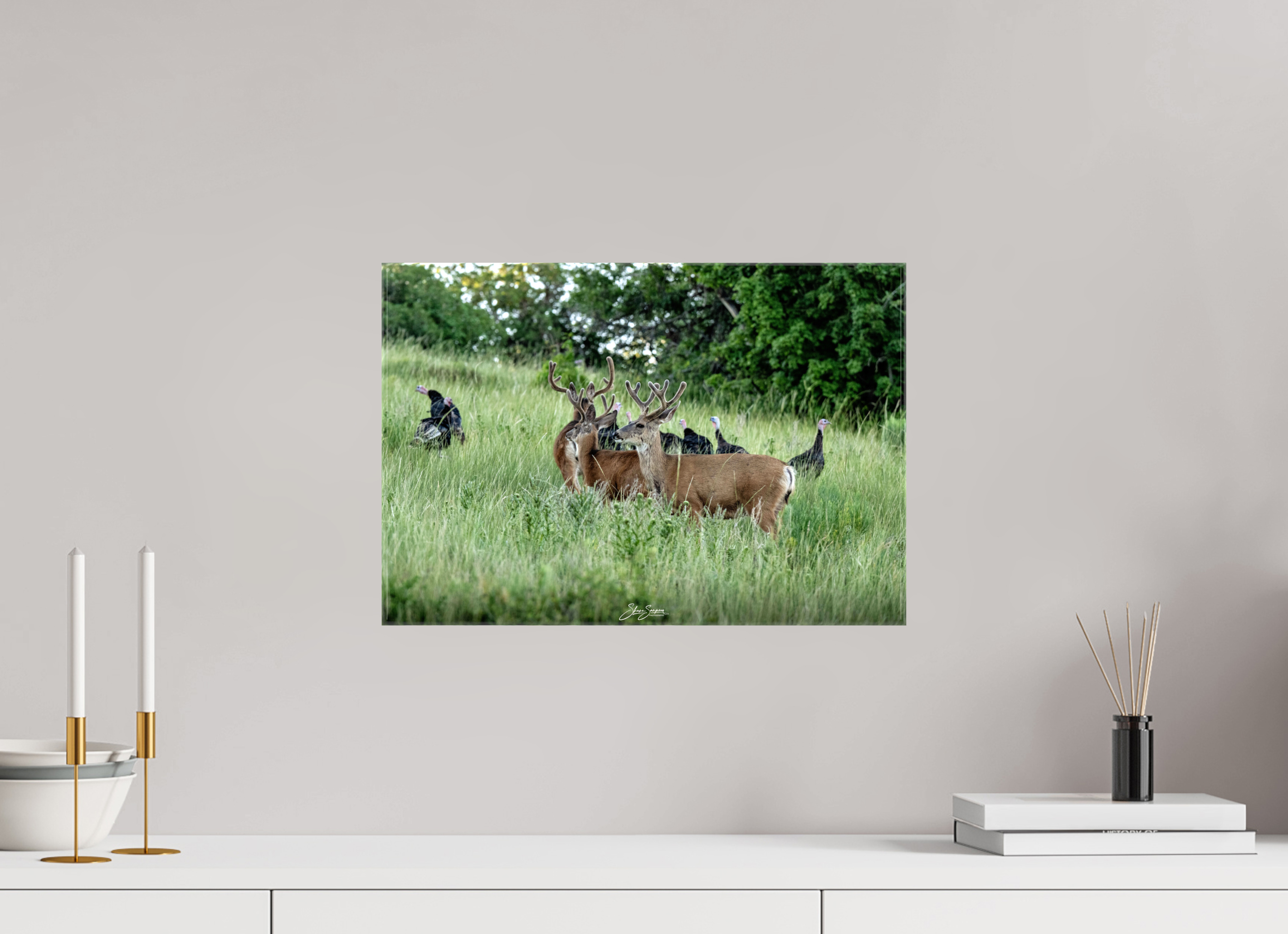 17.6 x 12″, Canvas Turky Deer