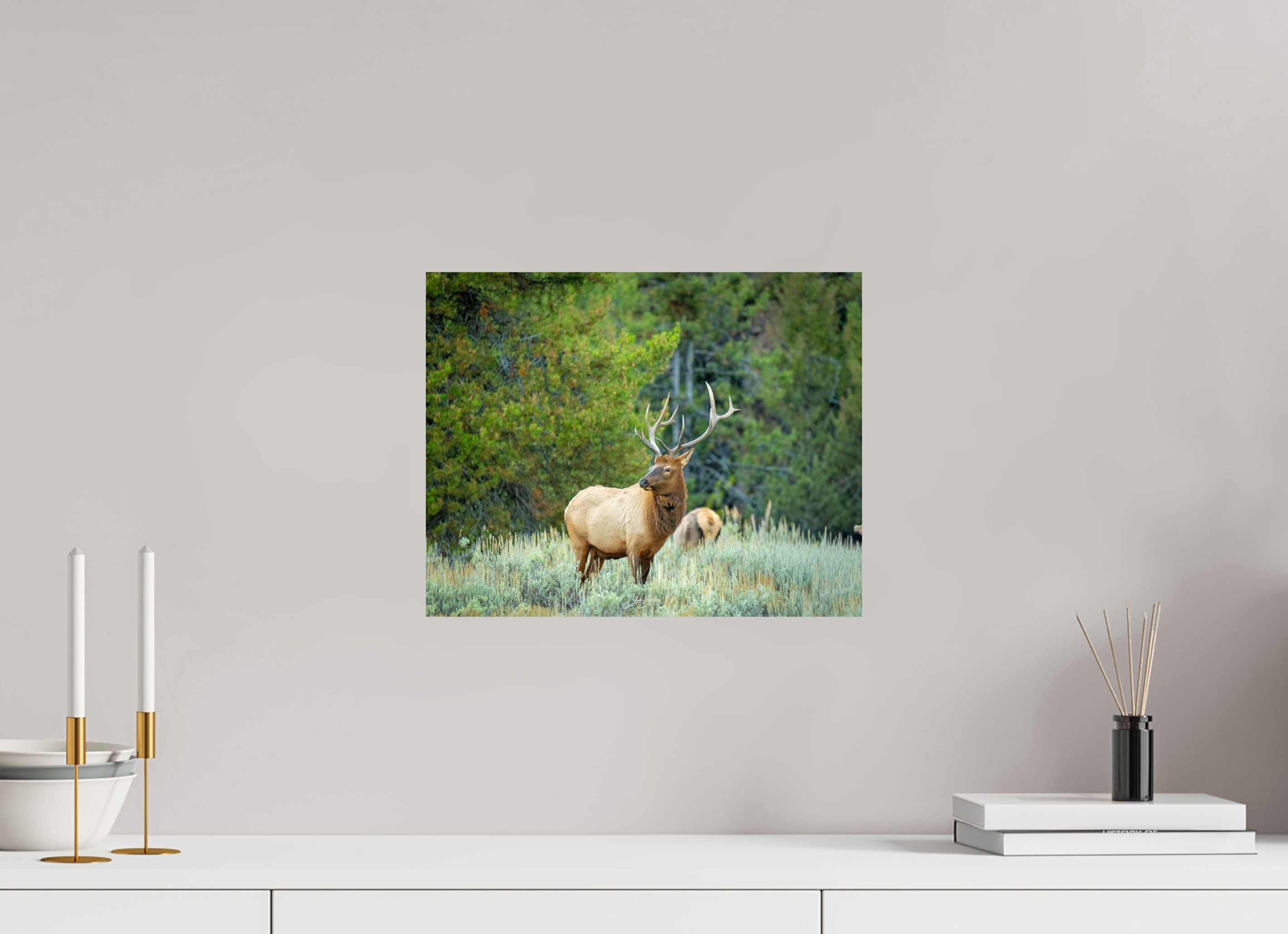 15.2 x 12″, Photo Print On Fuji Crystal DP II Elk