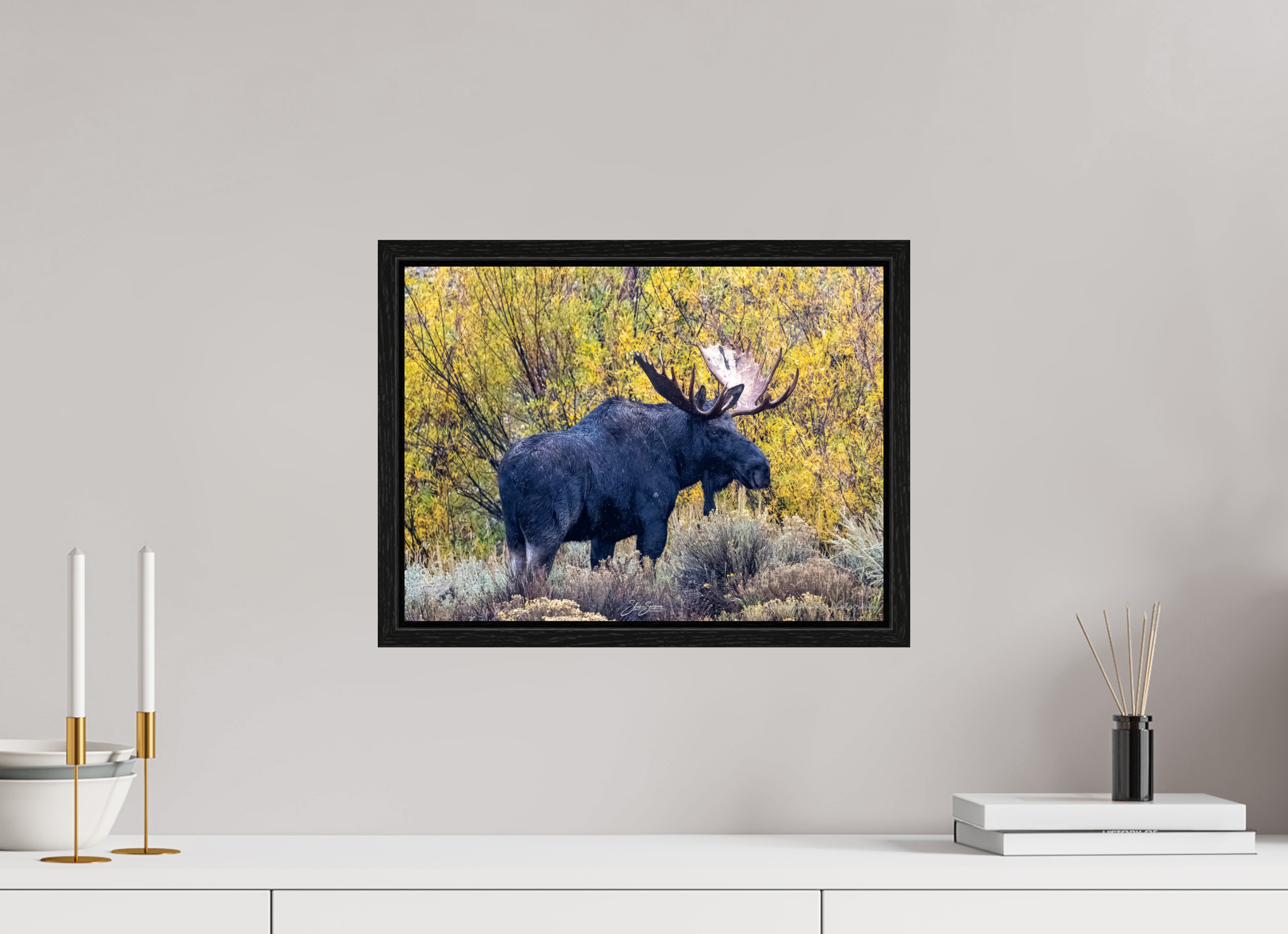 16.2 x 12″, Floater Frame Moose