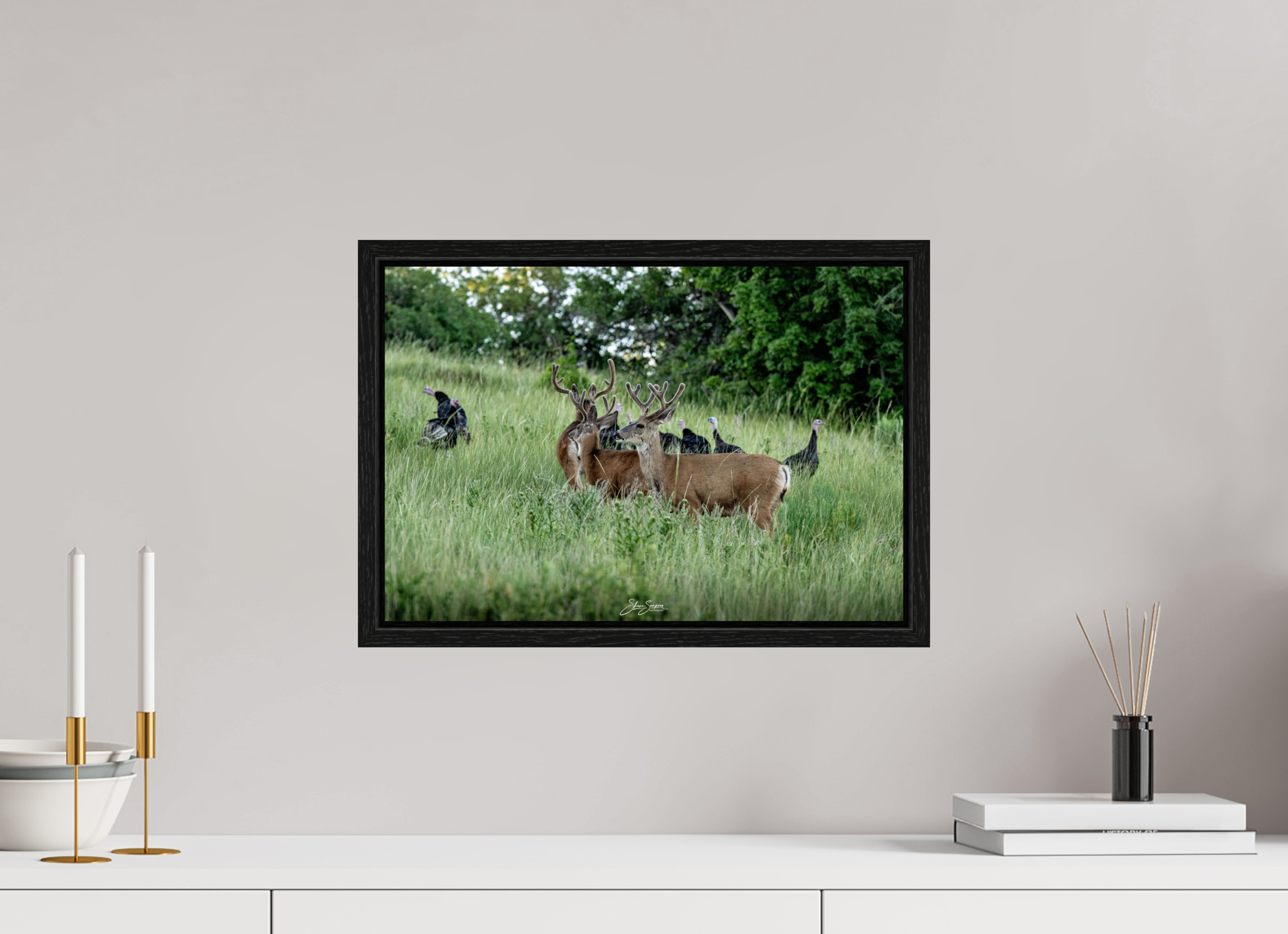 17.6 x 12″, Floater Frame Turky Deer