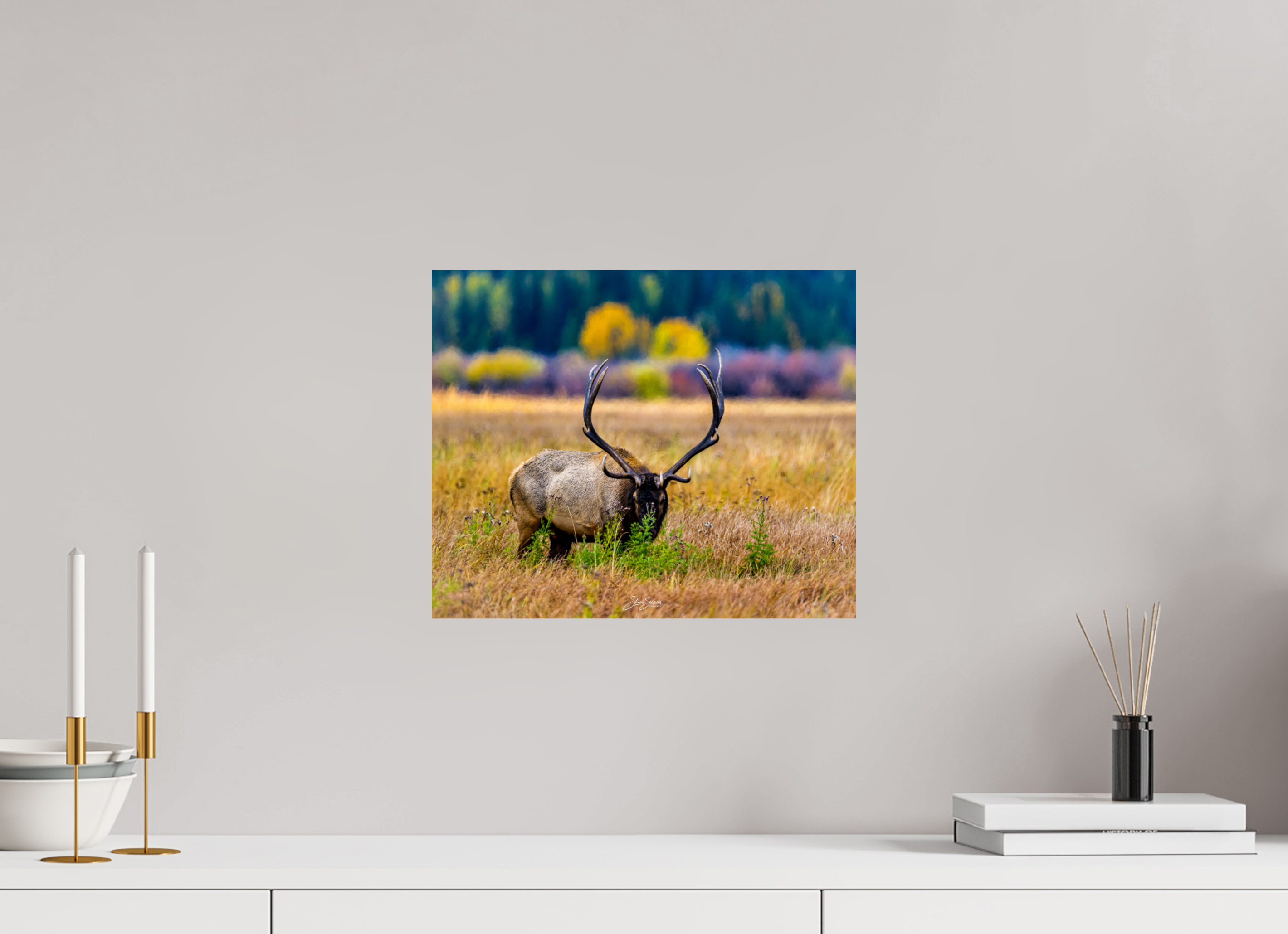 14.6 x 12″, Metal Elk
