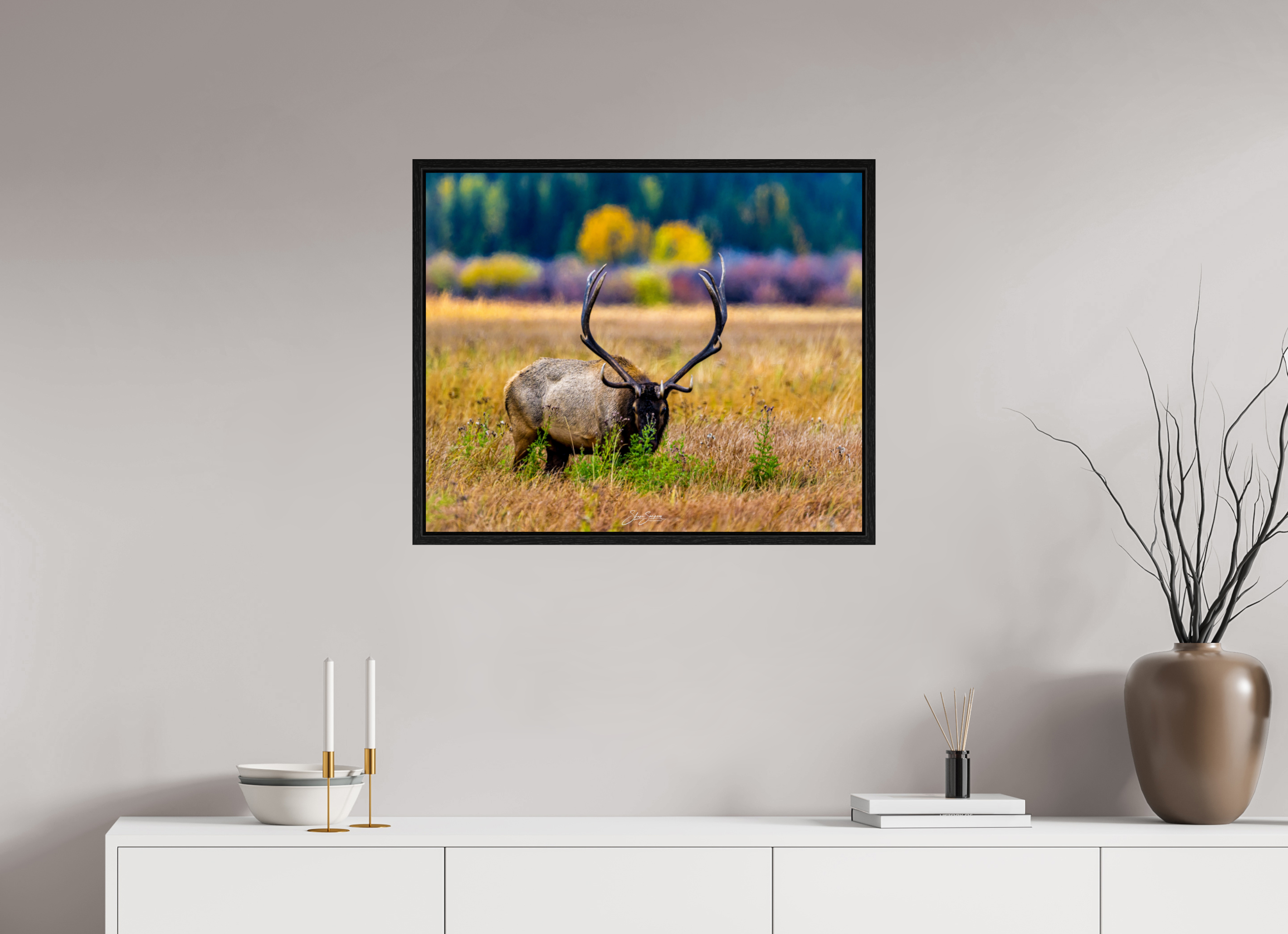 29.2 x 24″, Floater Frame Elk