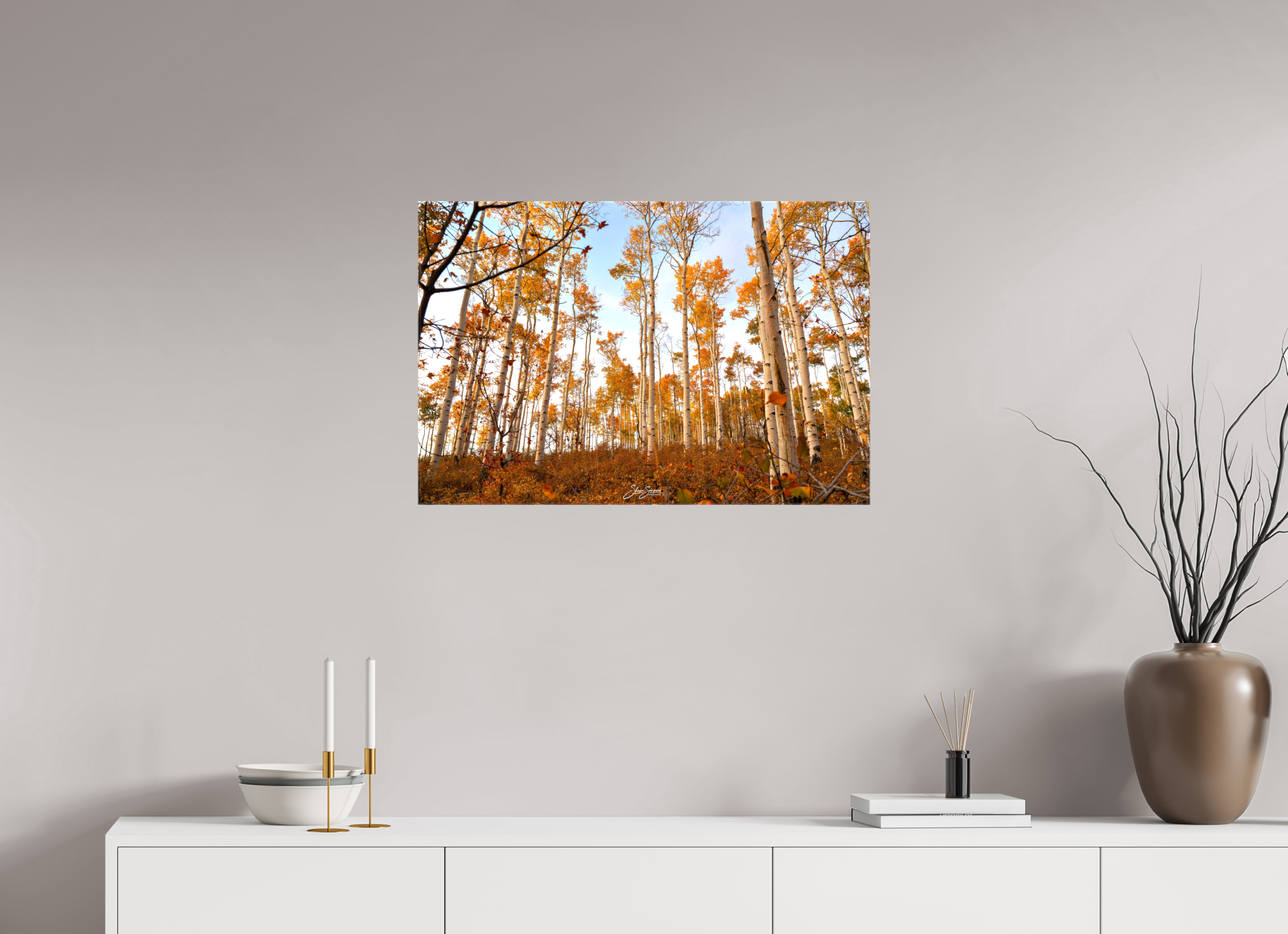 30 x 20″, Canvas aspen