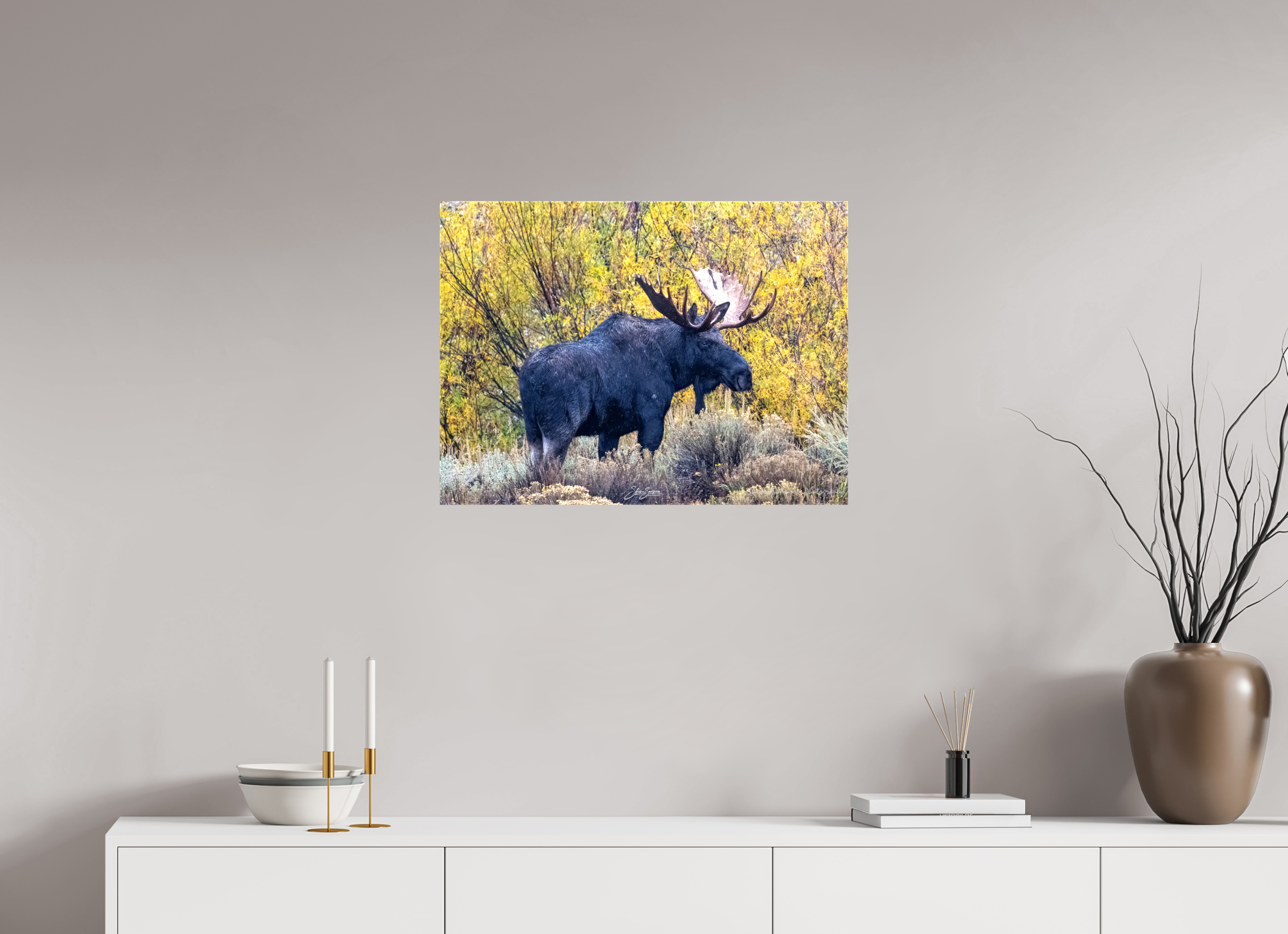 27 x 20″, Canvas Moose