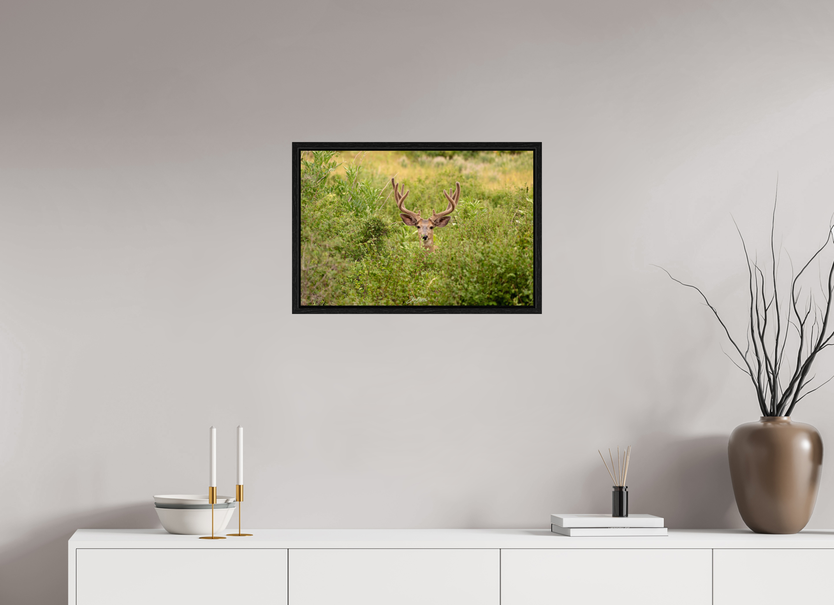 24 x 16″, Floater Frame Deer