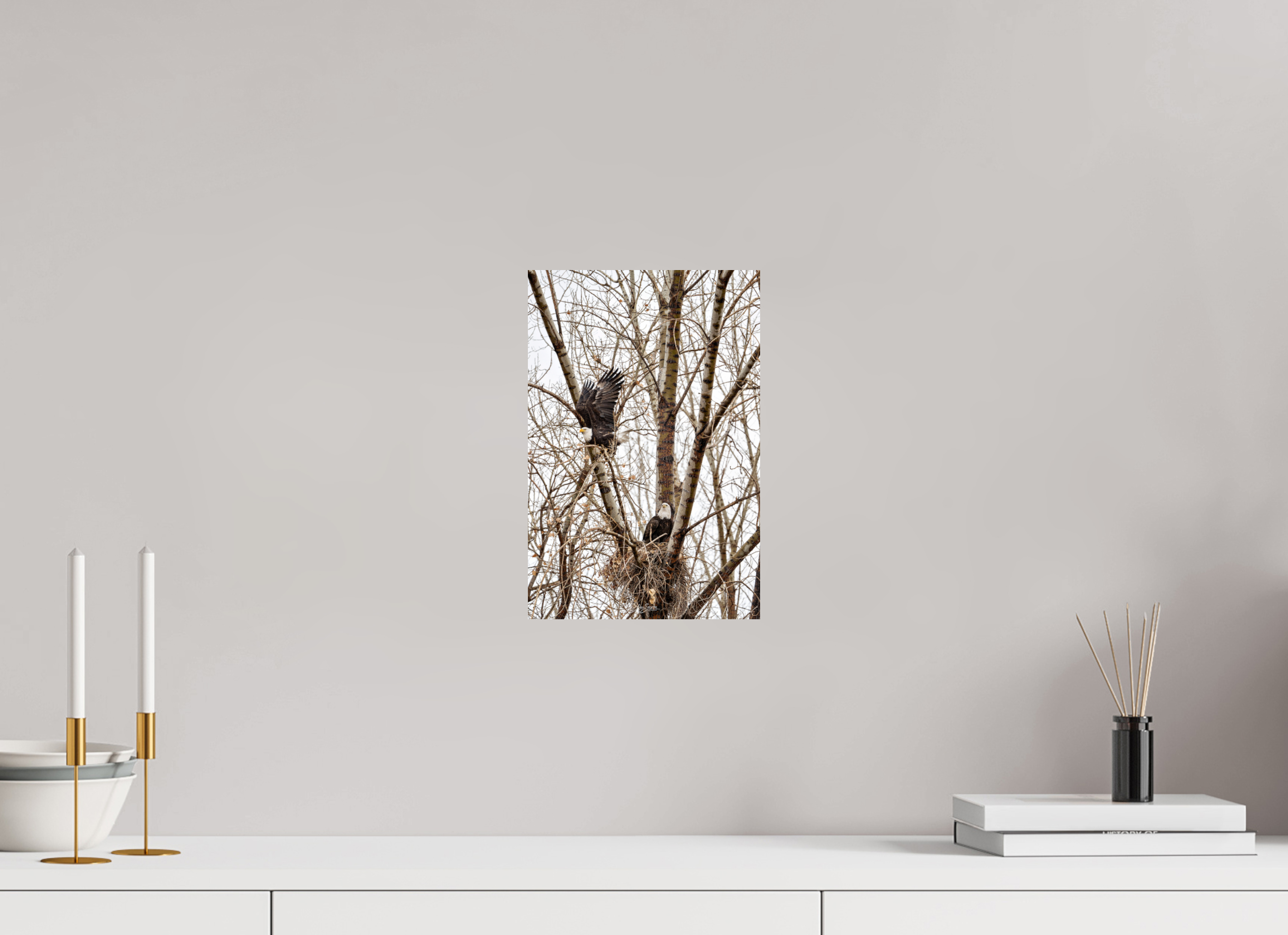 8 x 12″, Metal Eagles