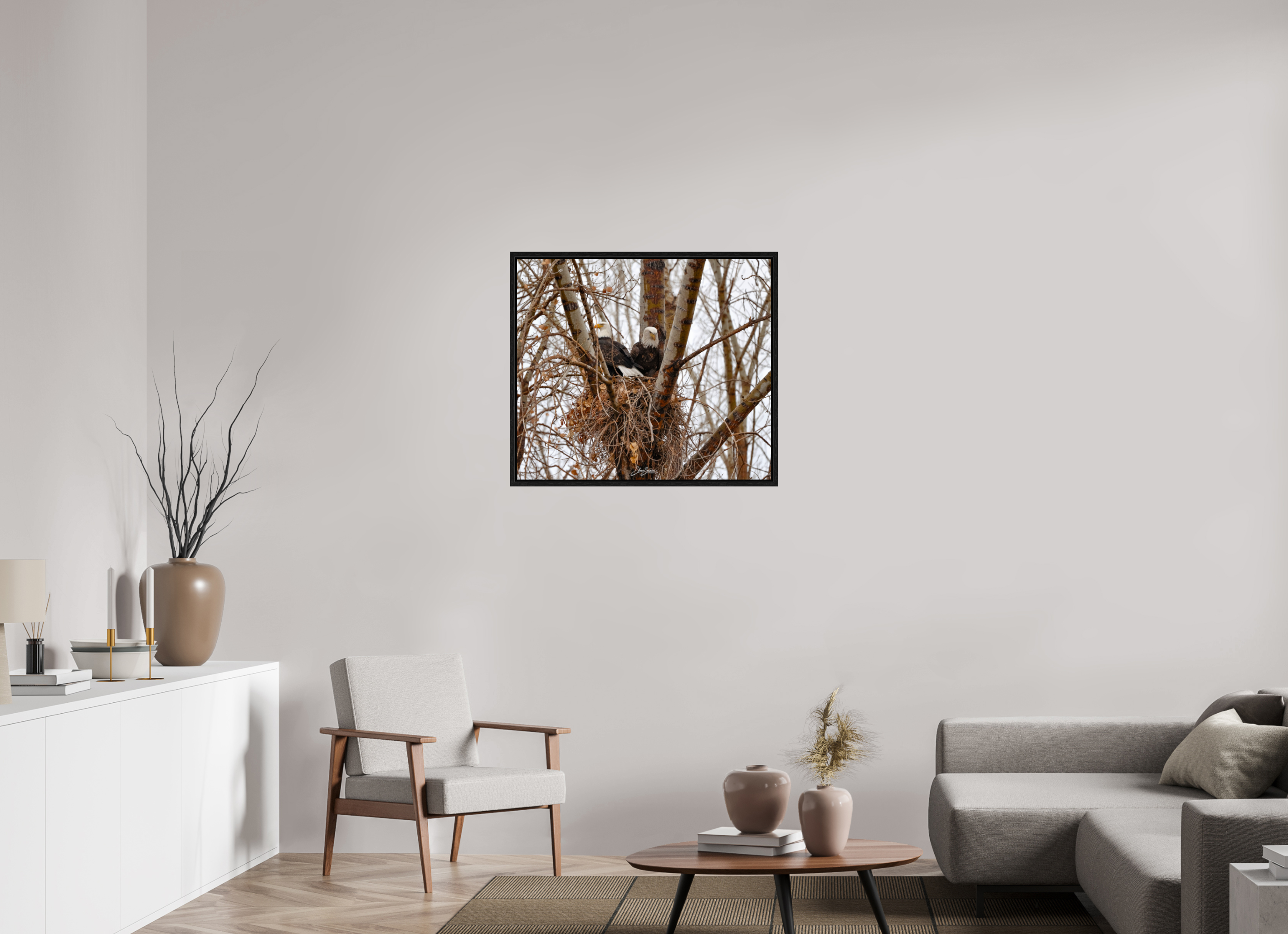 32.2 x 28″, Floater Frame Eagles in the nest