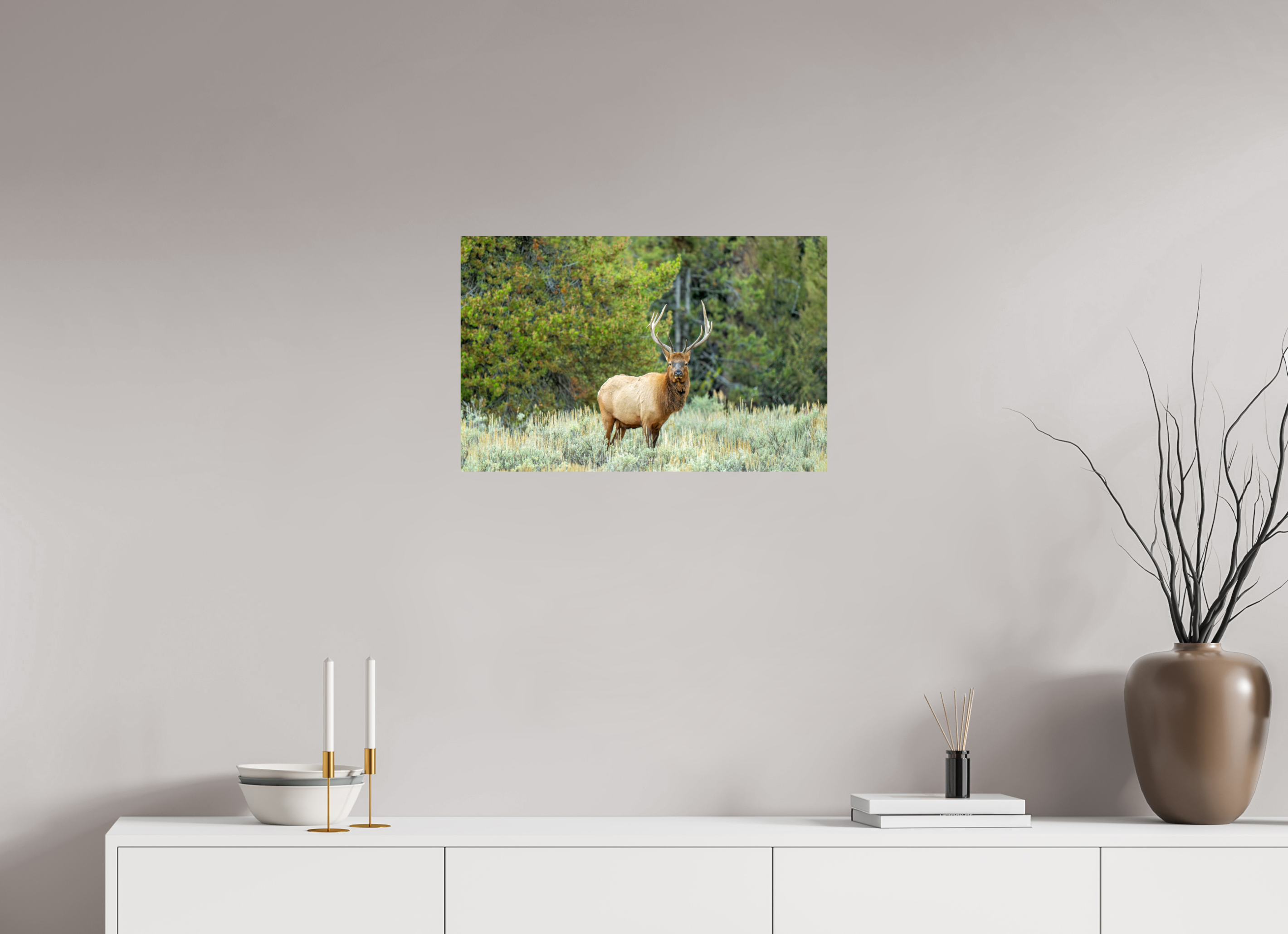 24.9 x 16″, Photo Print On Fuji Crystal DP II Elk