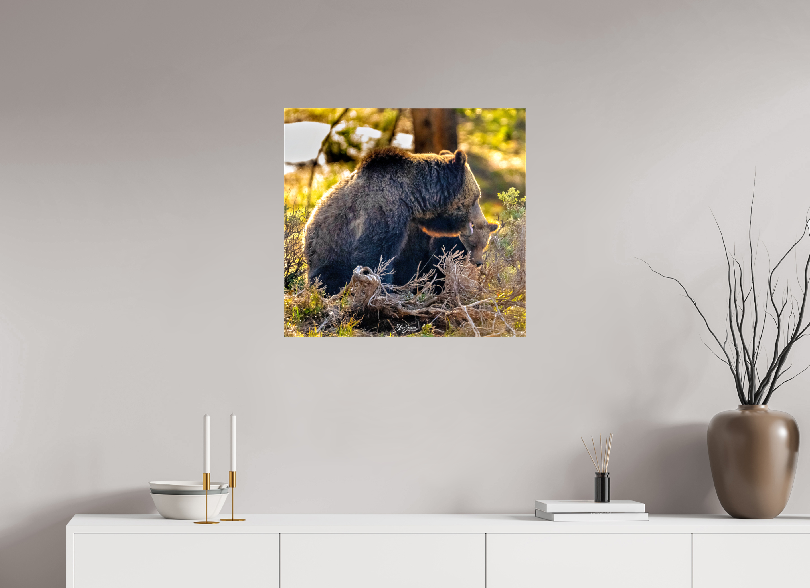 25.4 x 24″, Canvas 1063 and cub