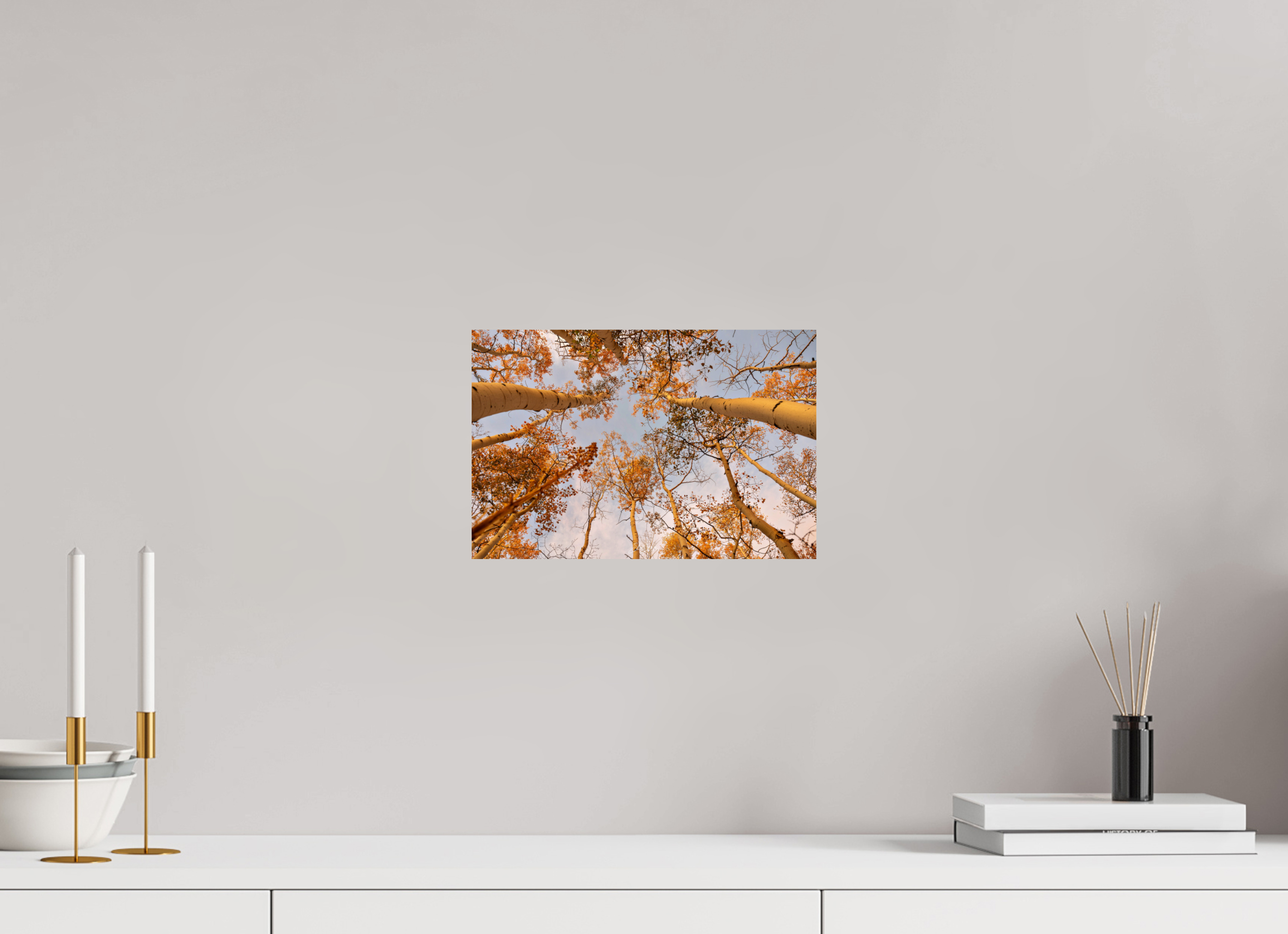12 x 8″, Photo Print On Fuji Crystal DP II aspen