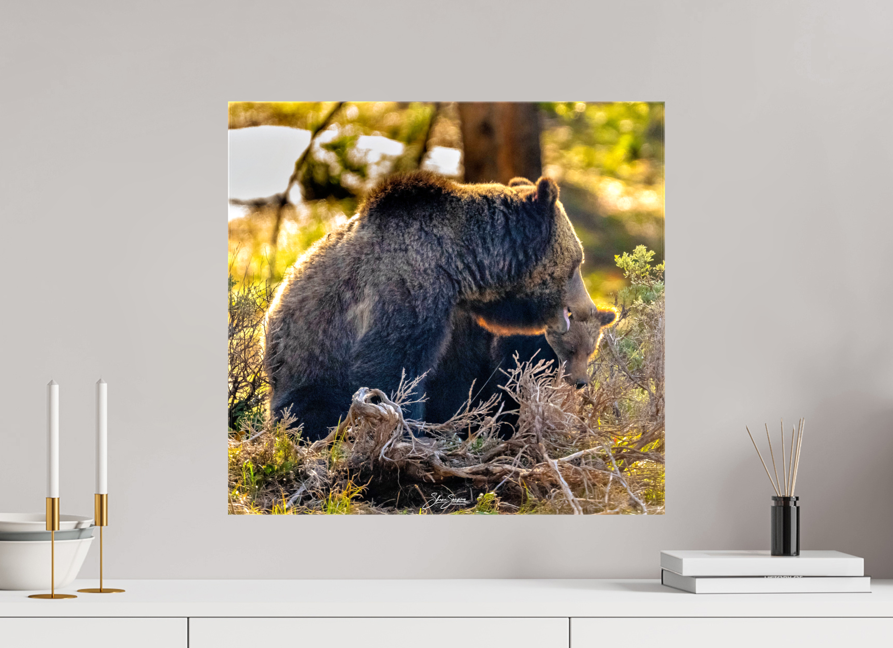 21.2 x 20″, Canvas 1063 and cub