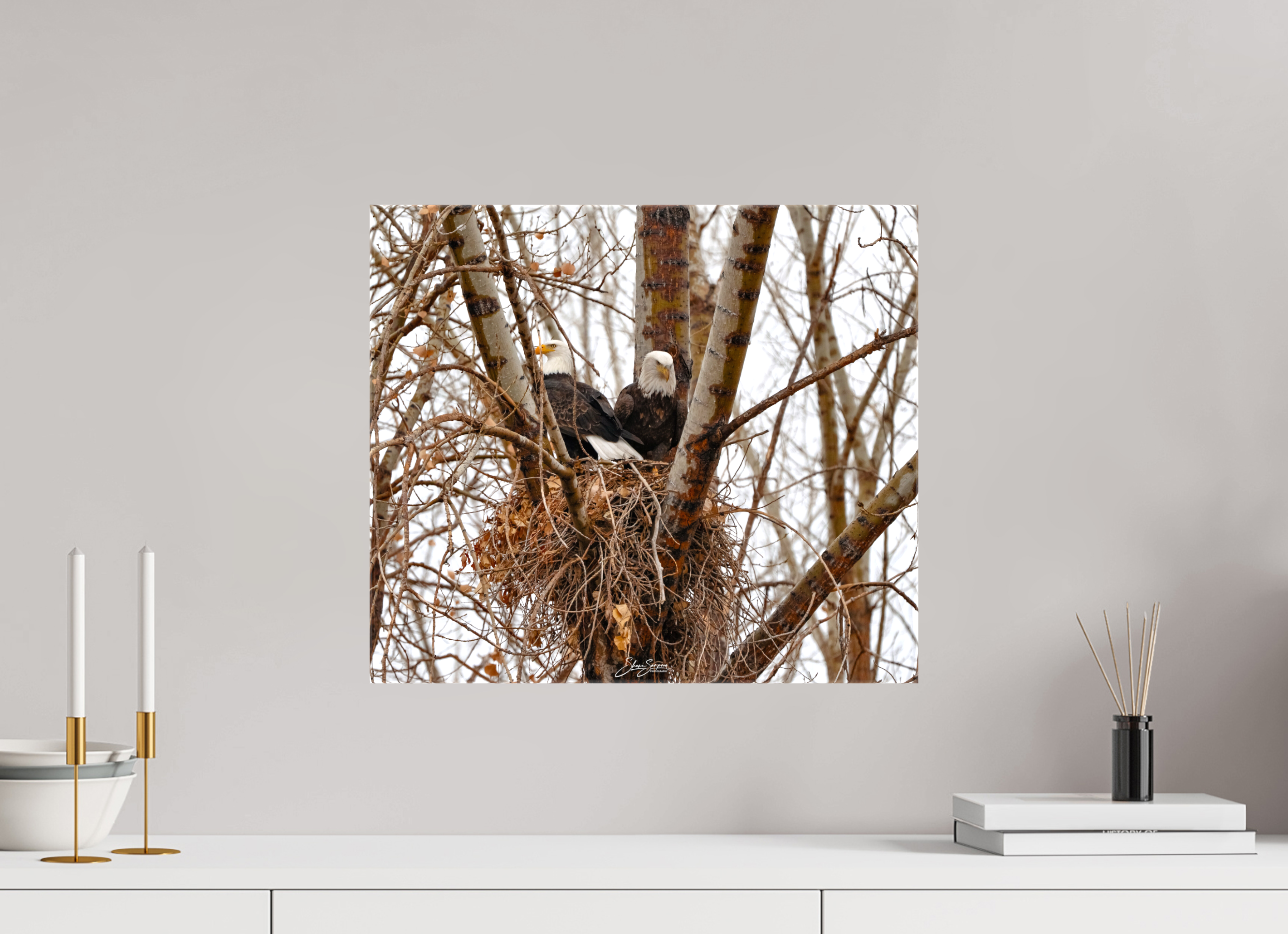 18.4 x 16″, Canvas Eagles in the nest