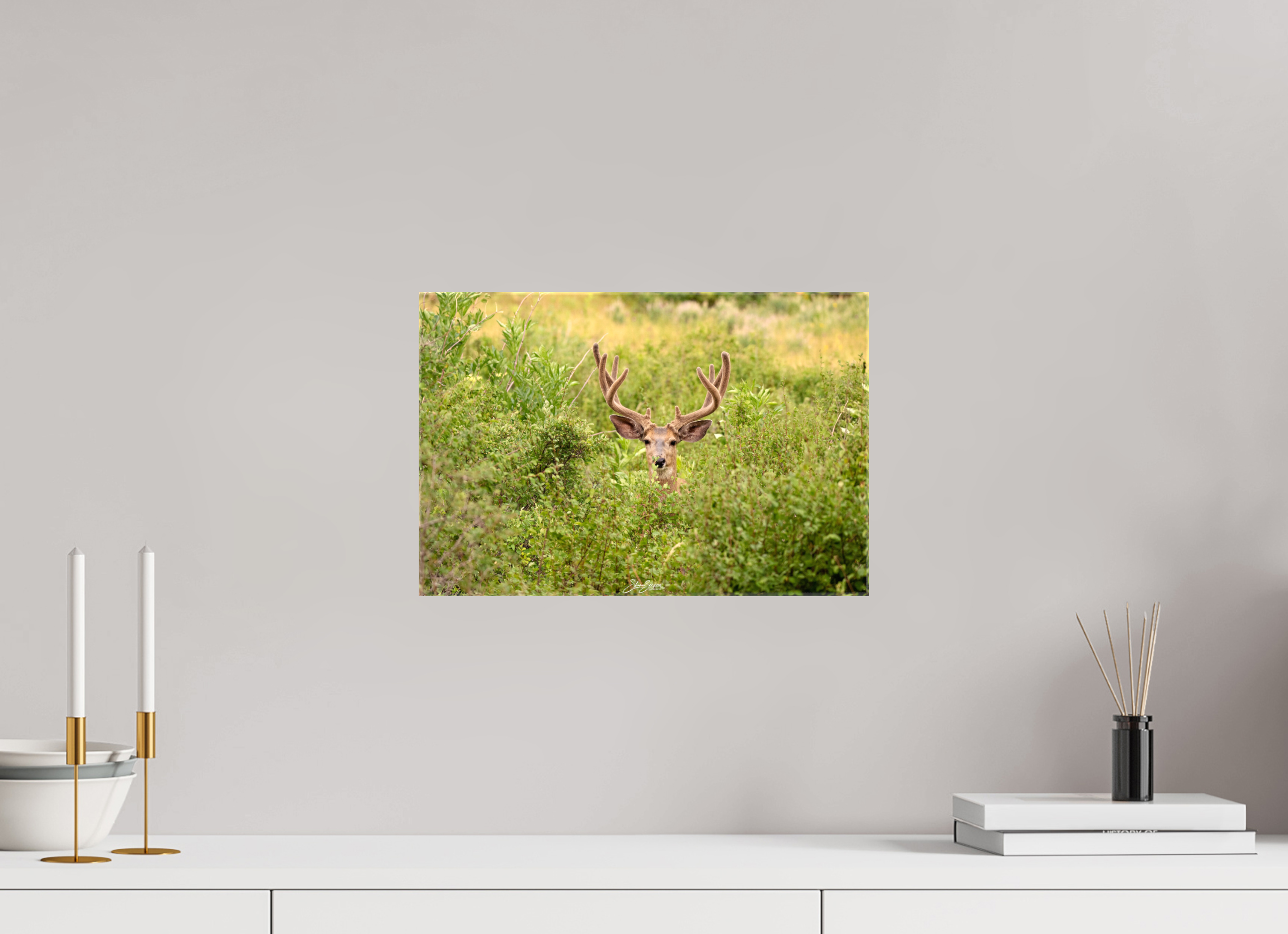 15 x 10″, Canvas Deer