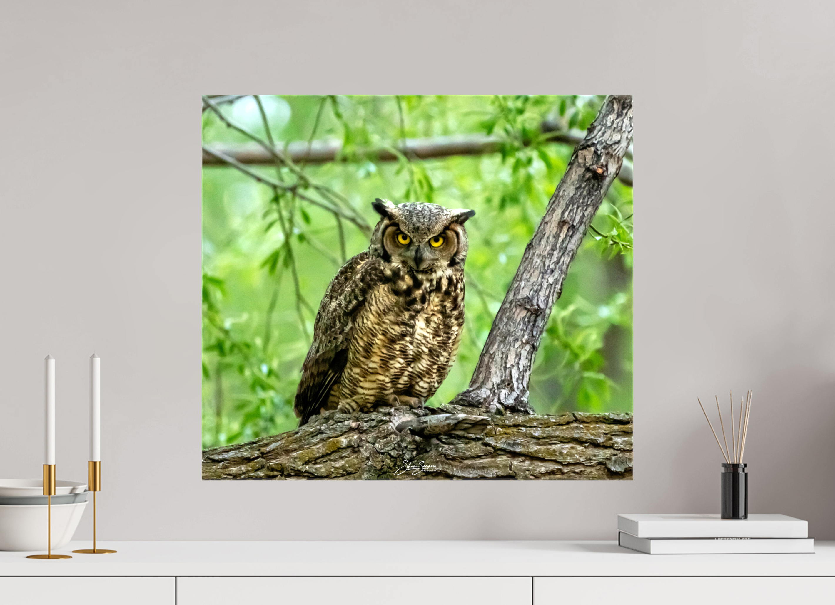 22.4 x 20″, Canvas Owel