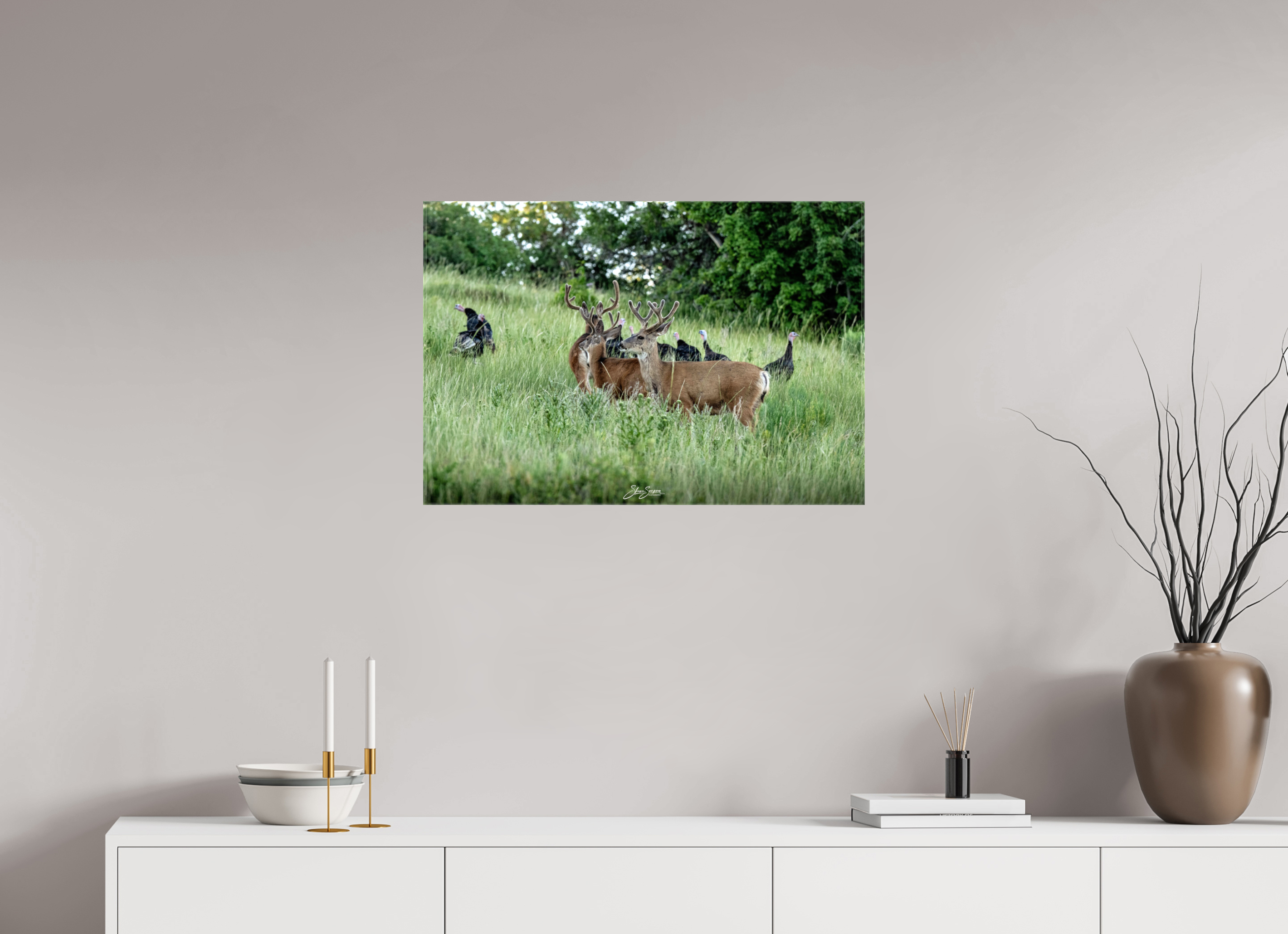 29.3 x 20″, Canvas Turky Deer