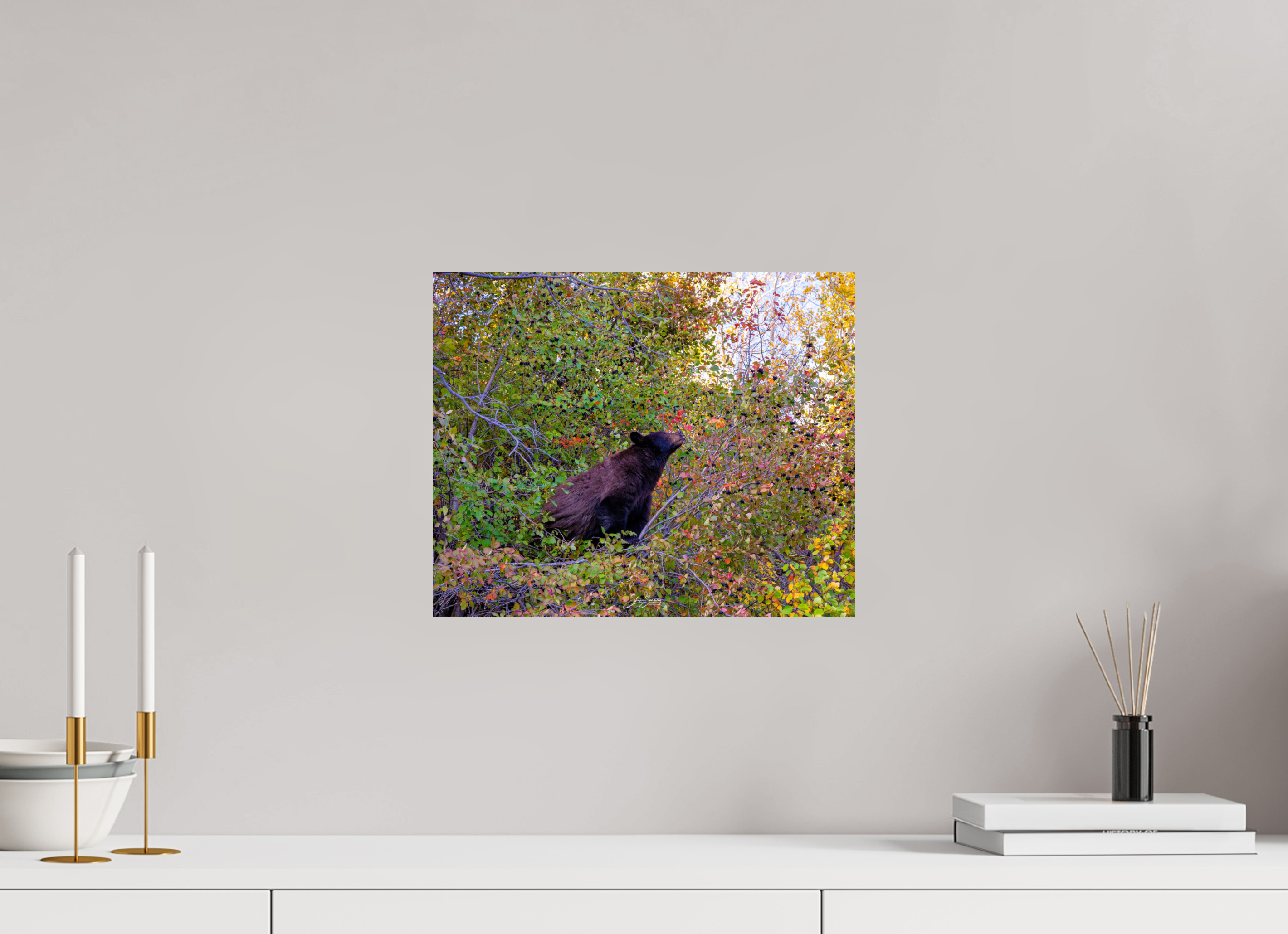 14.7 x 12″, Photo Print On Fuji Crystal DP II B1