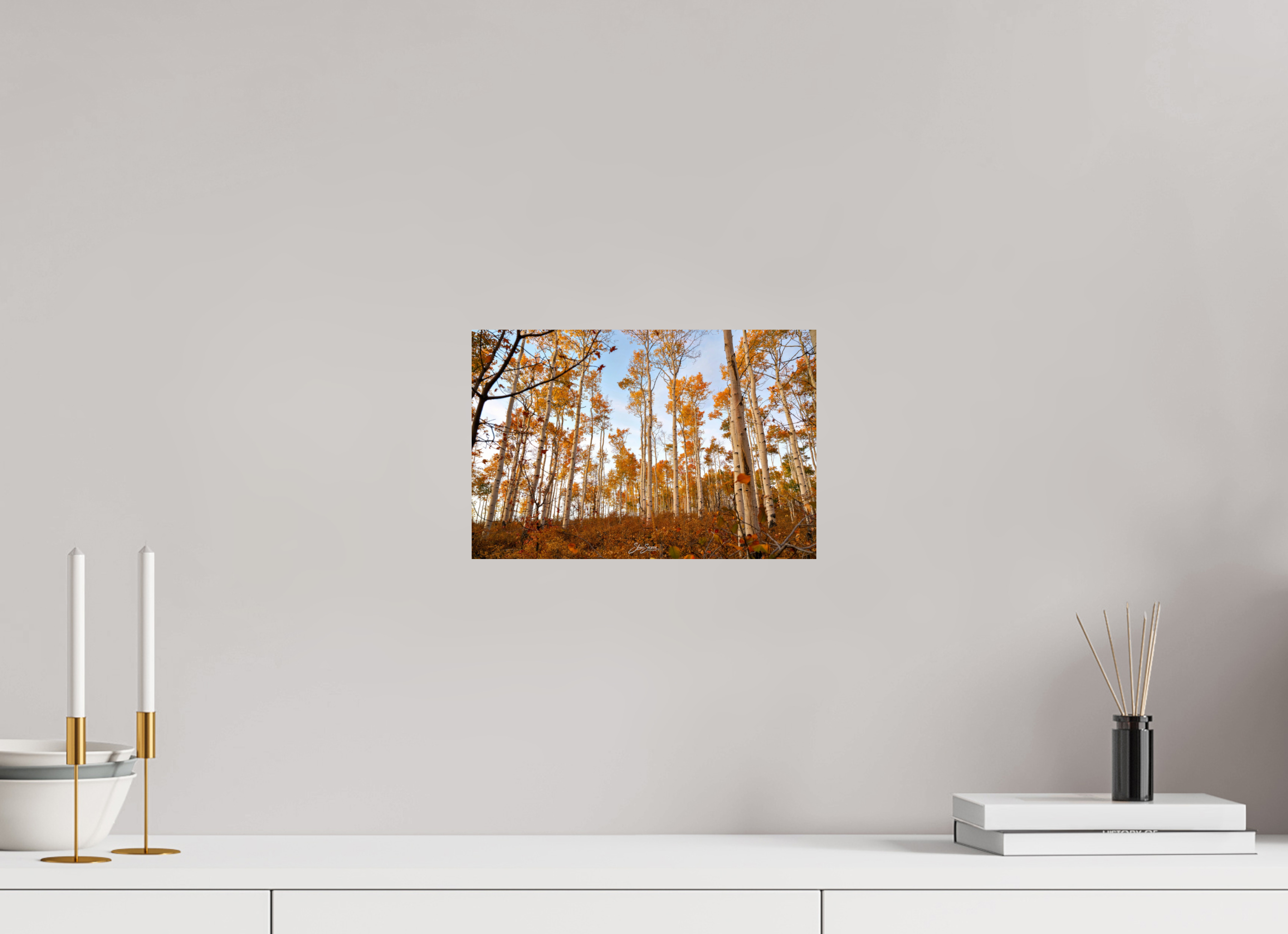 12 x 8″, Photo Print On Fuji Crystal DP II aspen