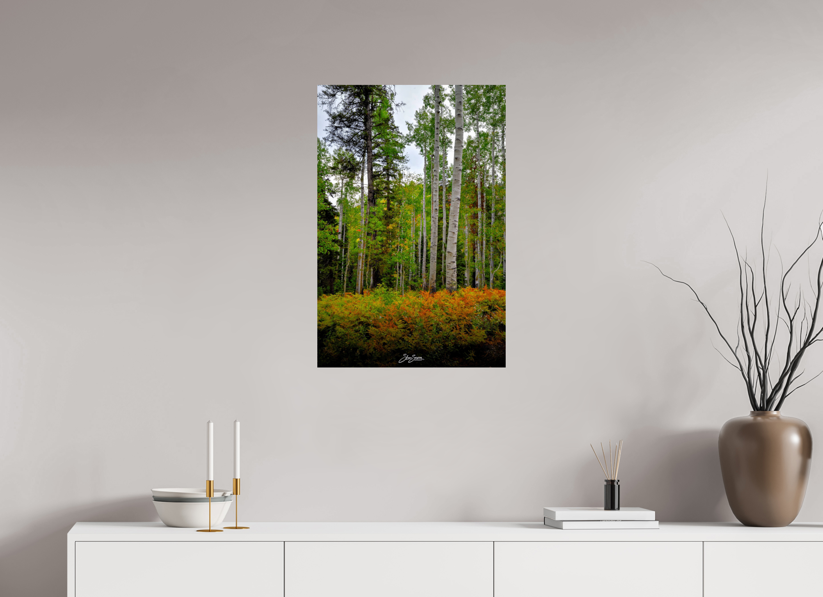 20 x 30″, Photo Print On Fuji Crystal DP II aspen