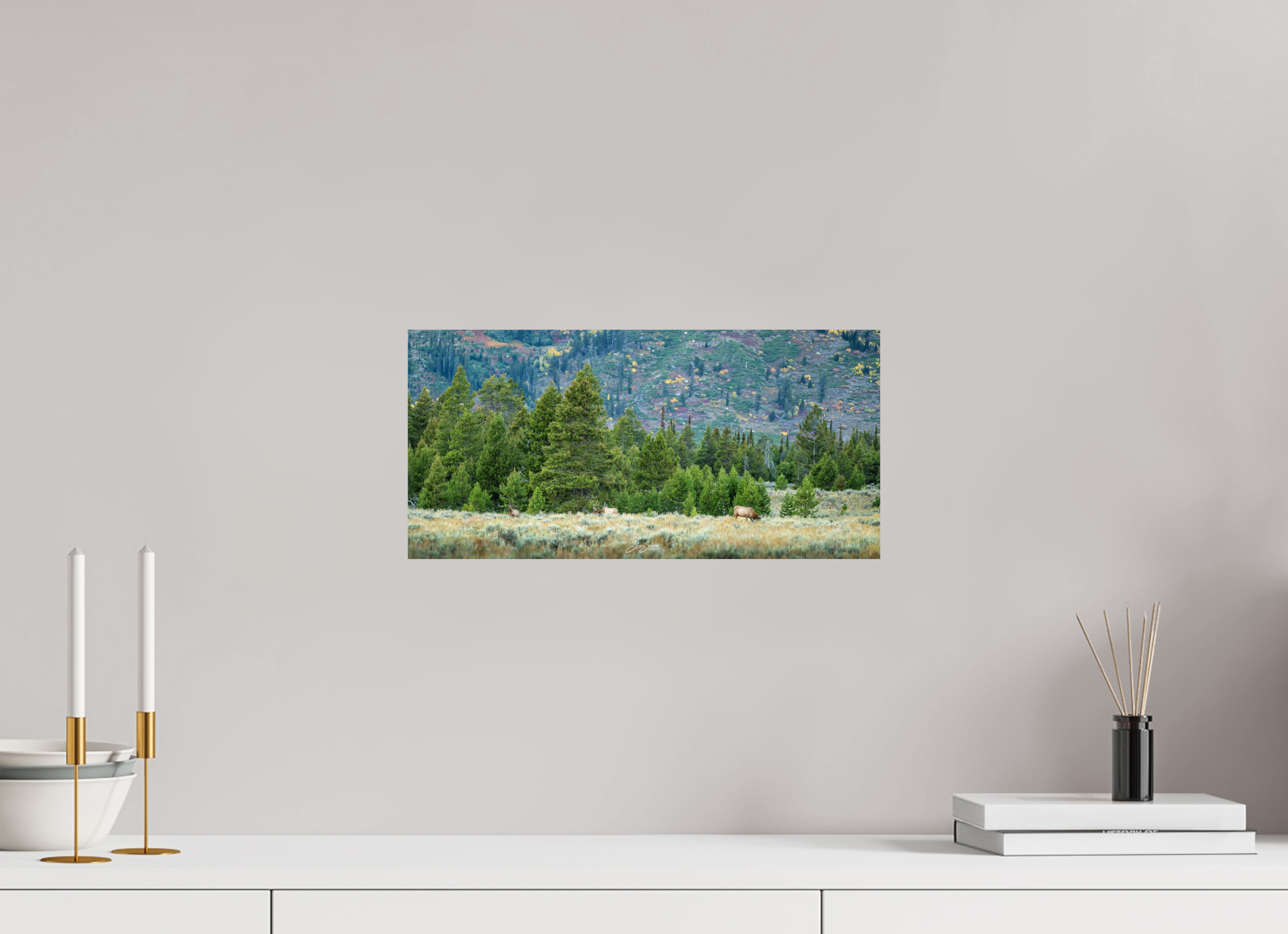 16.5 x 8″, Photo Print On Fuji Crystal DP II A12