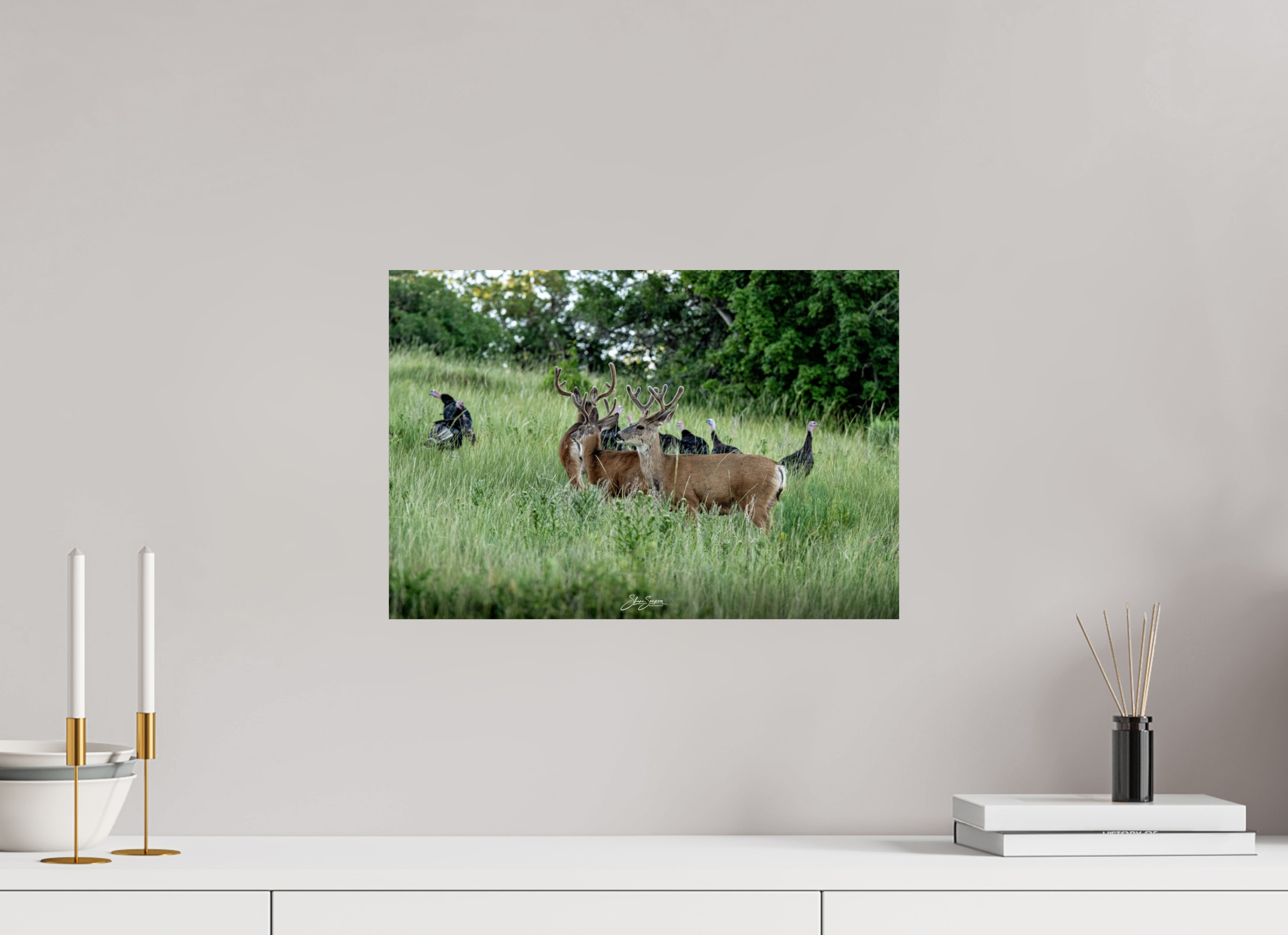 17.6 x 12″, Metal Turky Deer