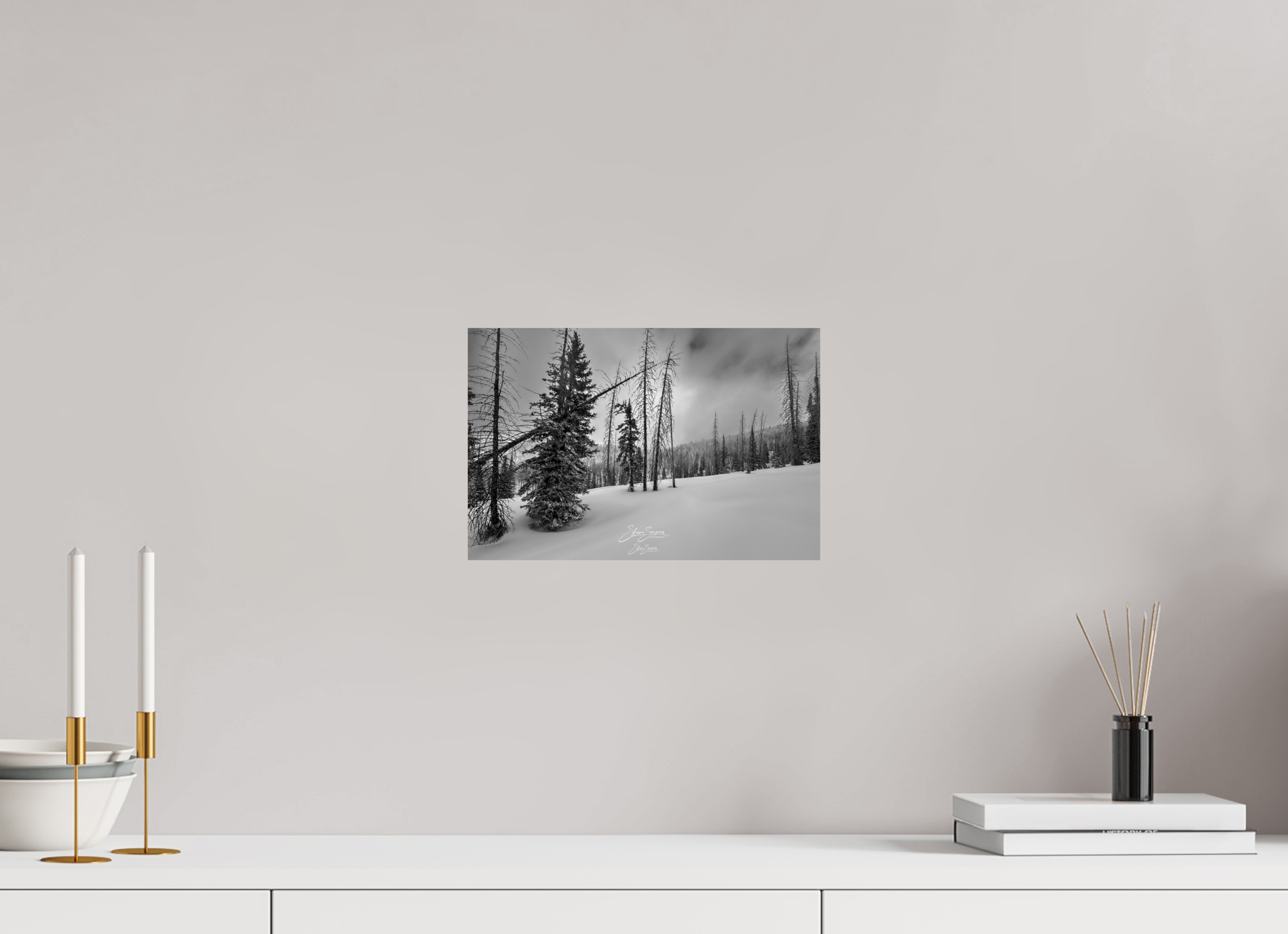 12.1 x 8″, Metal winter bw