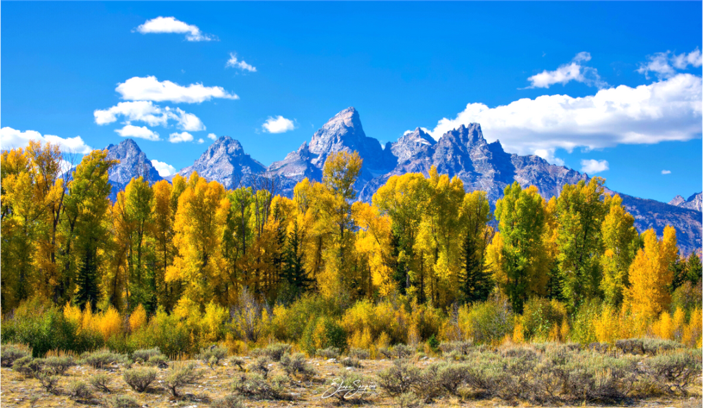 Main image Tetons