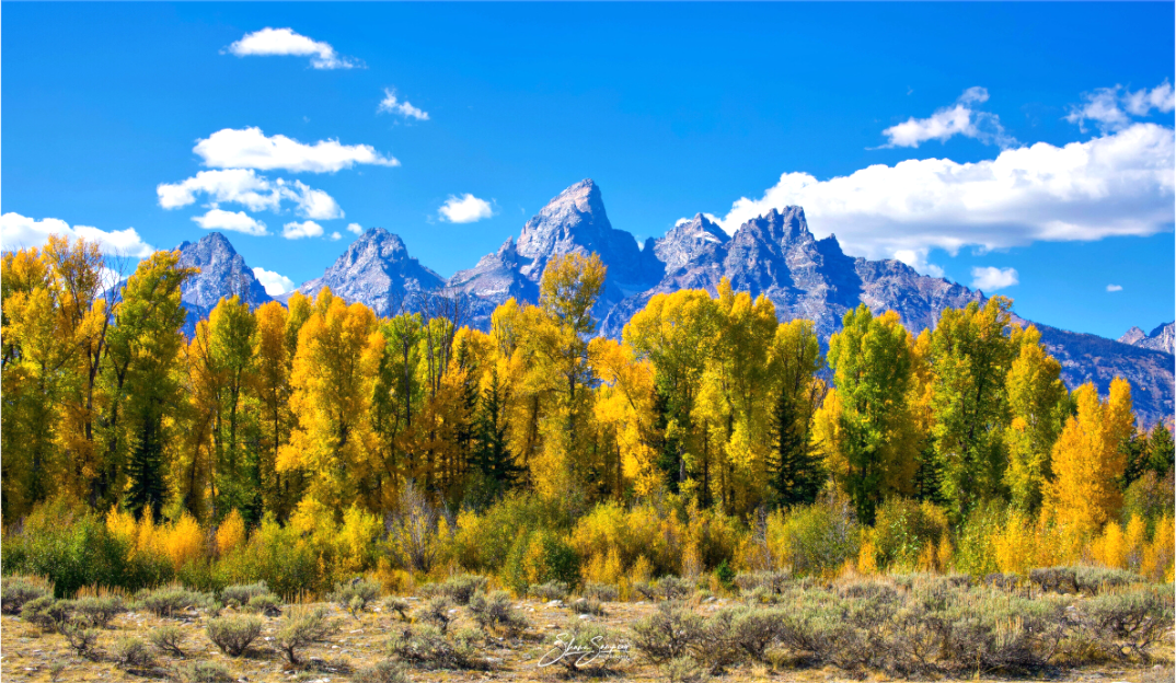 Main image Tetons