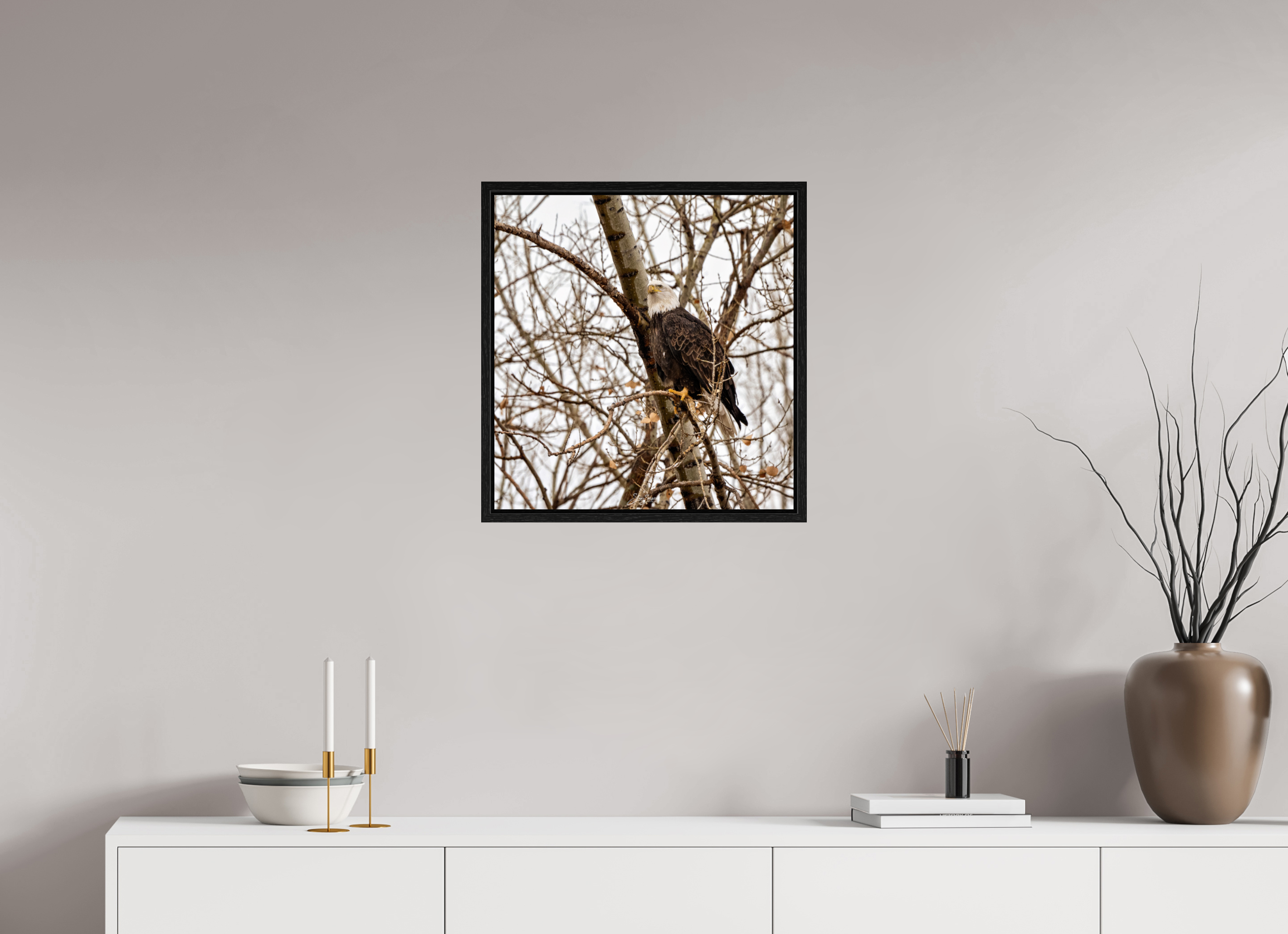 20 x 21″, Floater Frame Eagle