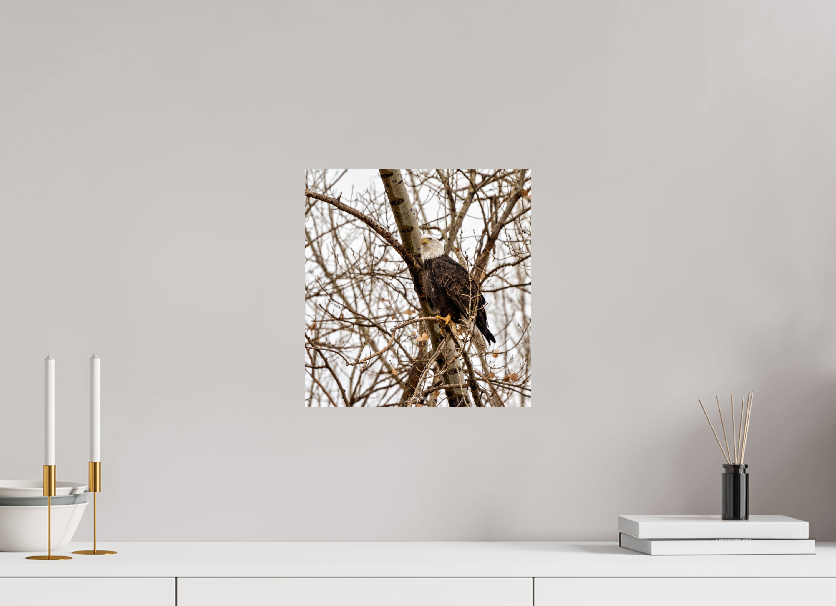 12 x 12.6″, Metal Eagle