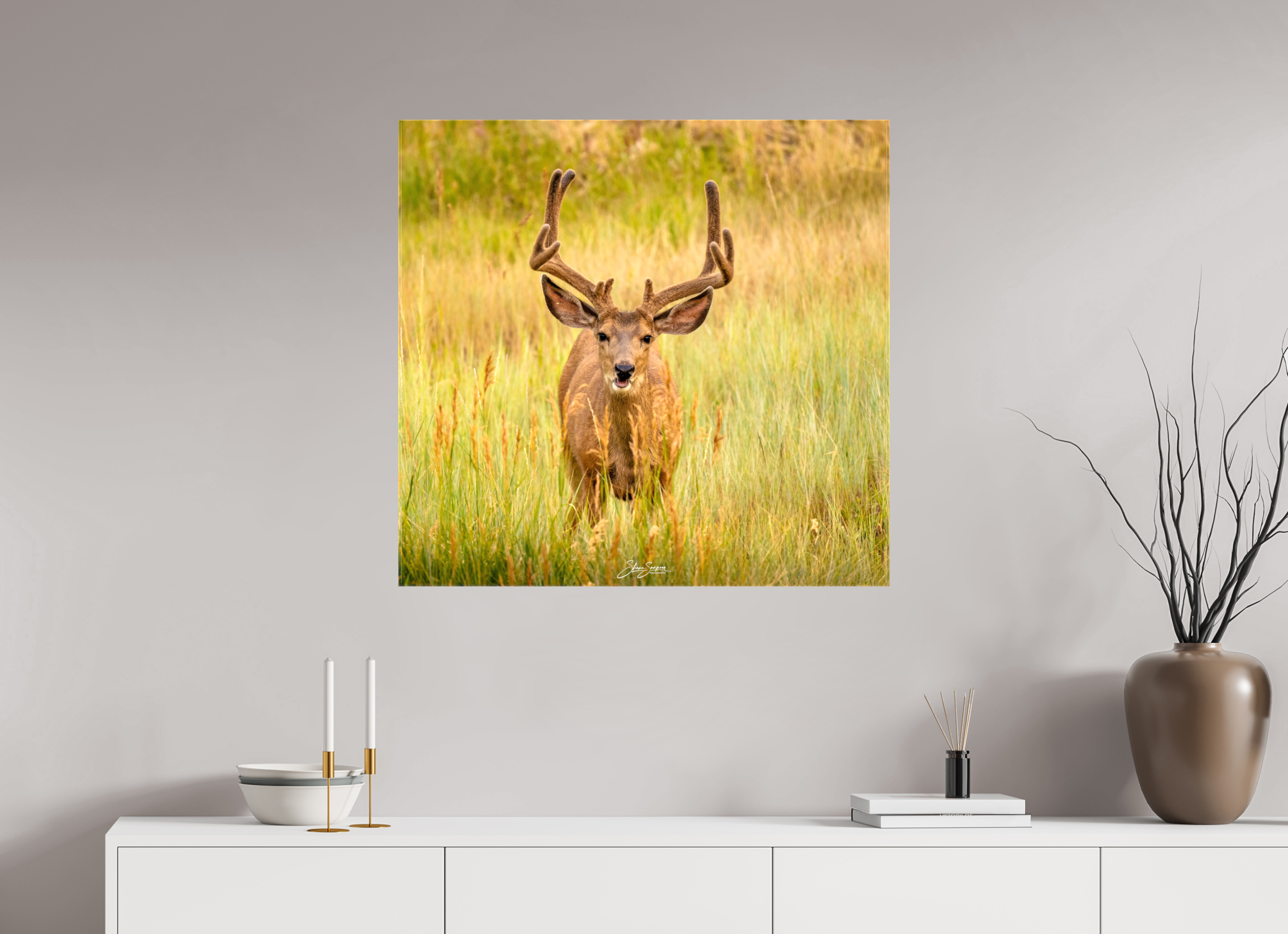 32.6 x 31″, Canvas Deer