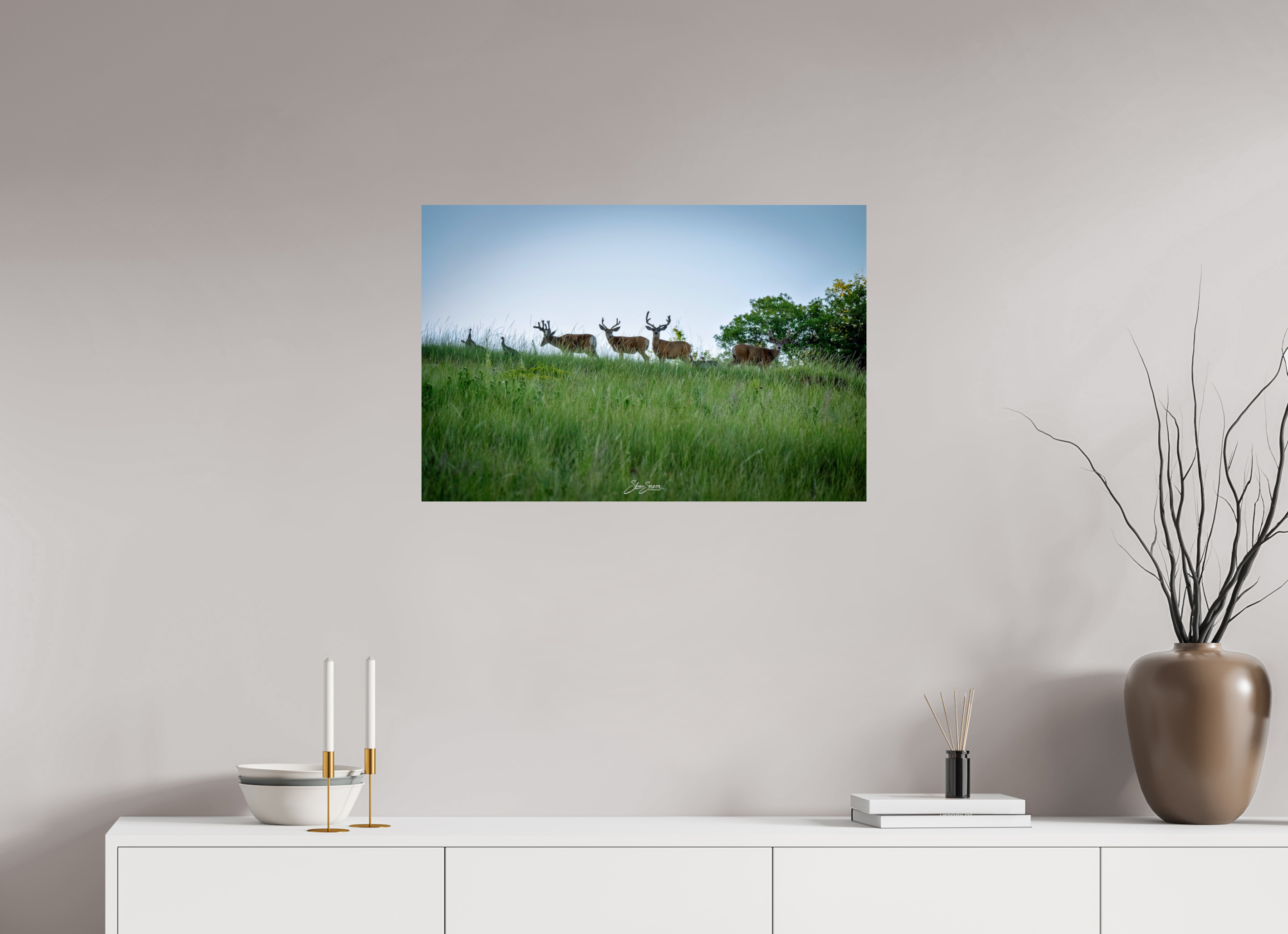 30 x 20″, Metal Deer