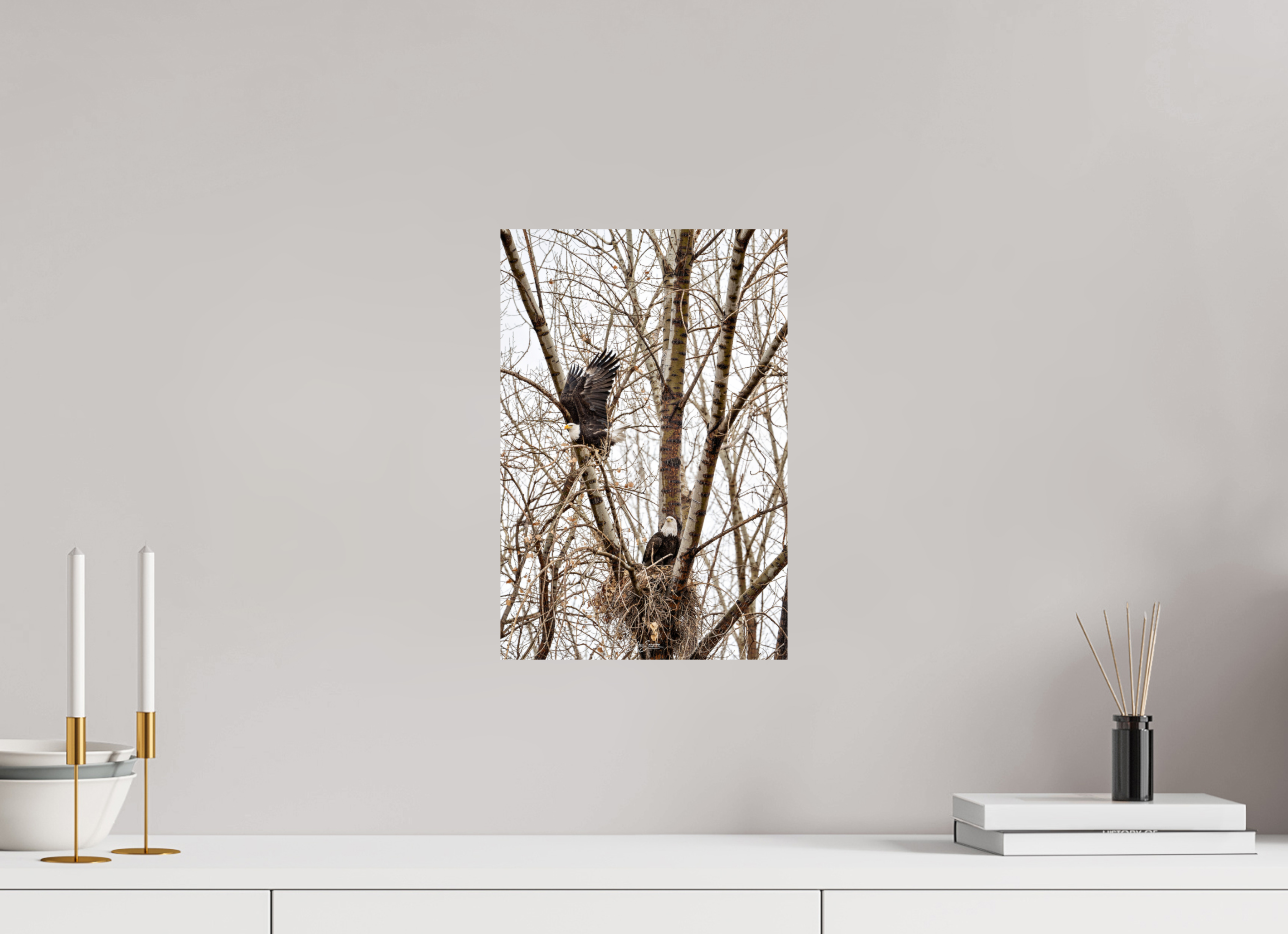 10 x 15″, Photo Print On Fuji Crystal DP II Eagles