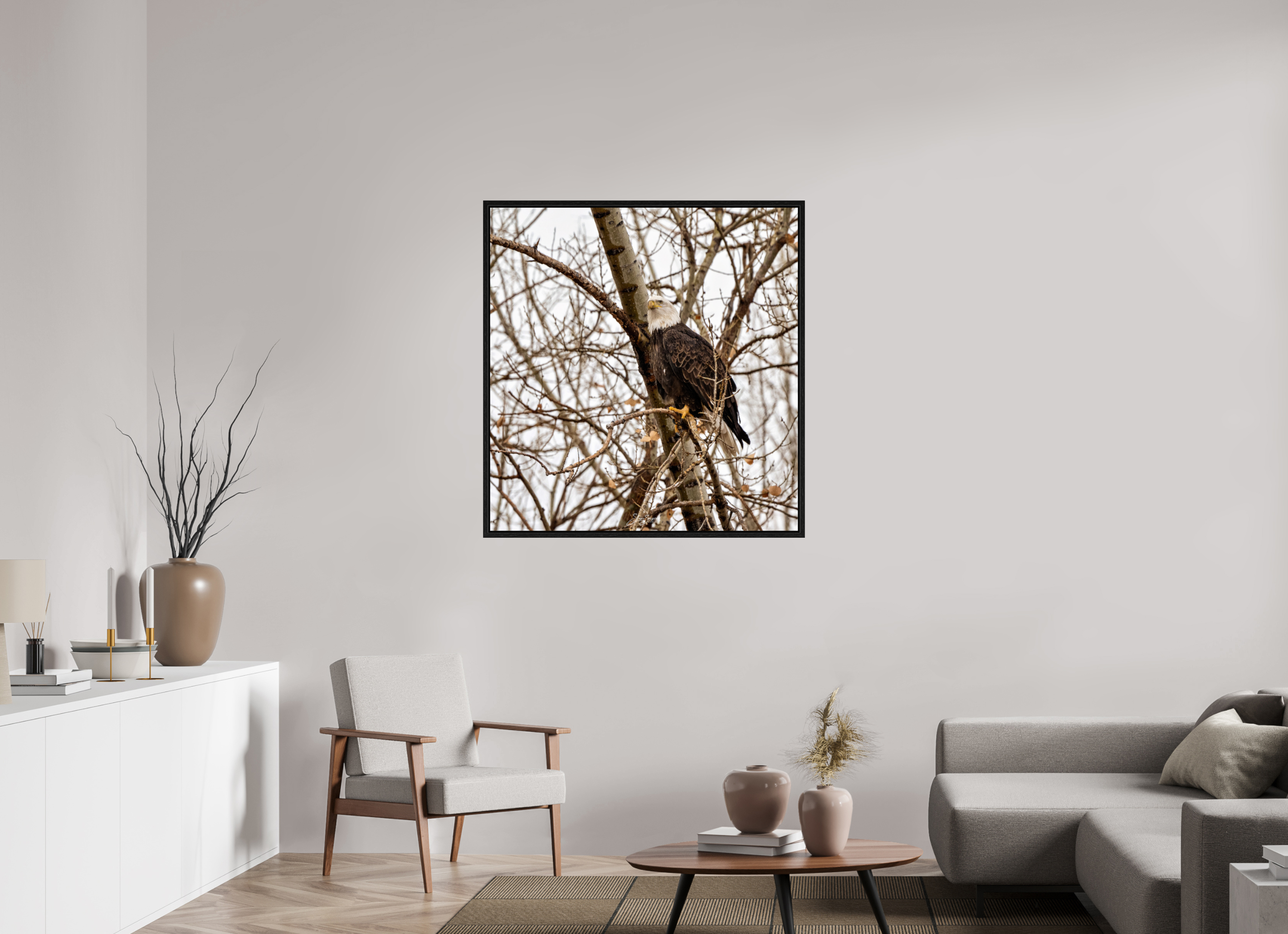 39 x 41″, Floater Frame Eagle