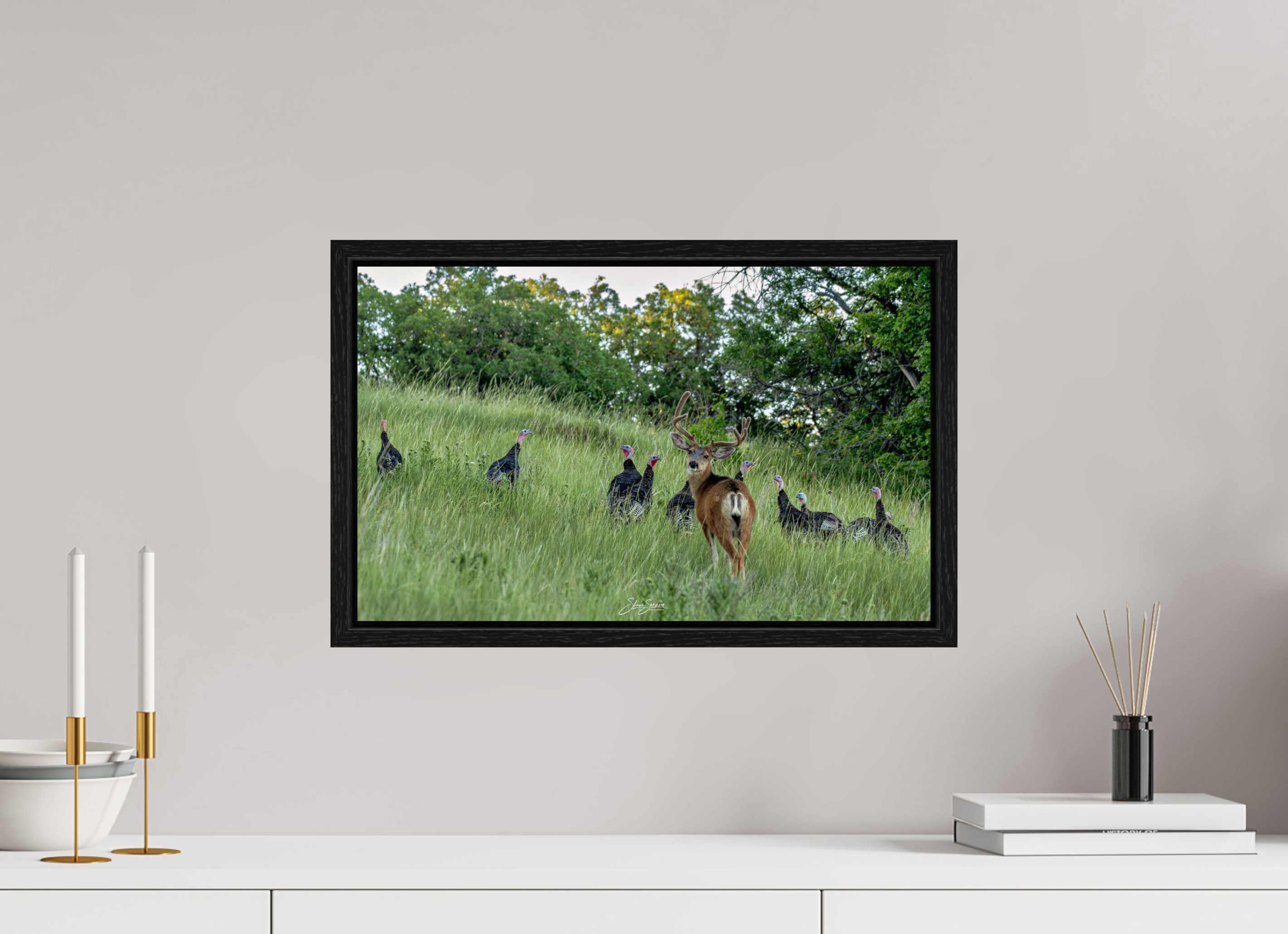 19.4 x 12″, Floater Frame Deer Turky 3