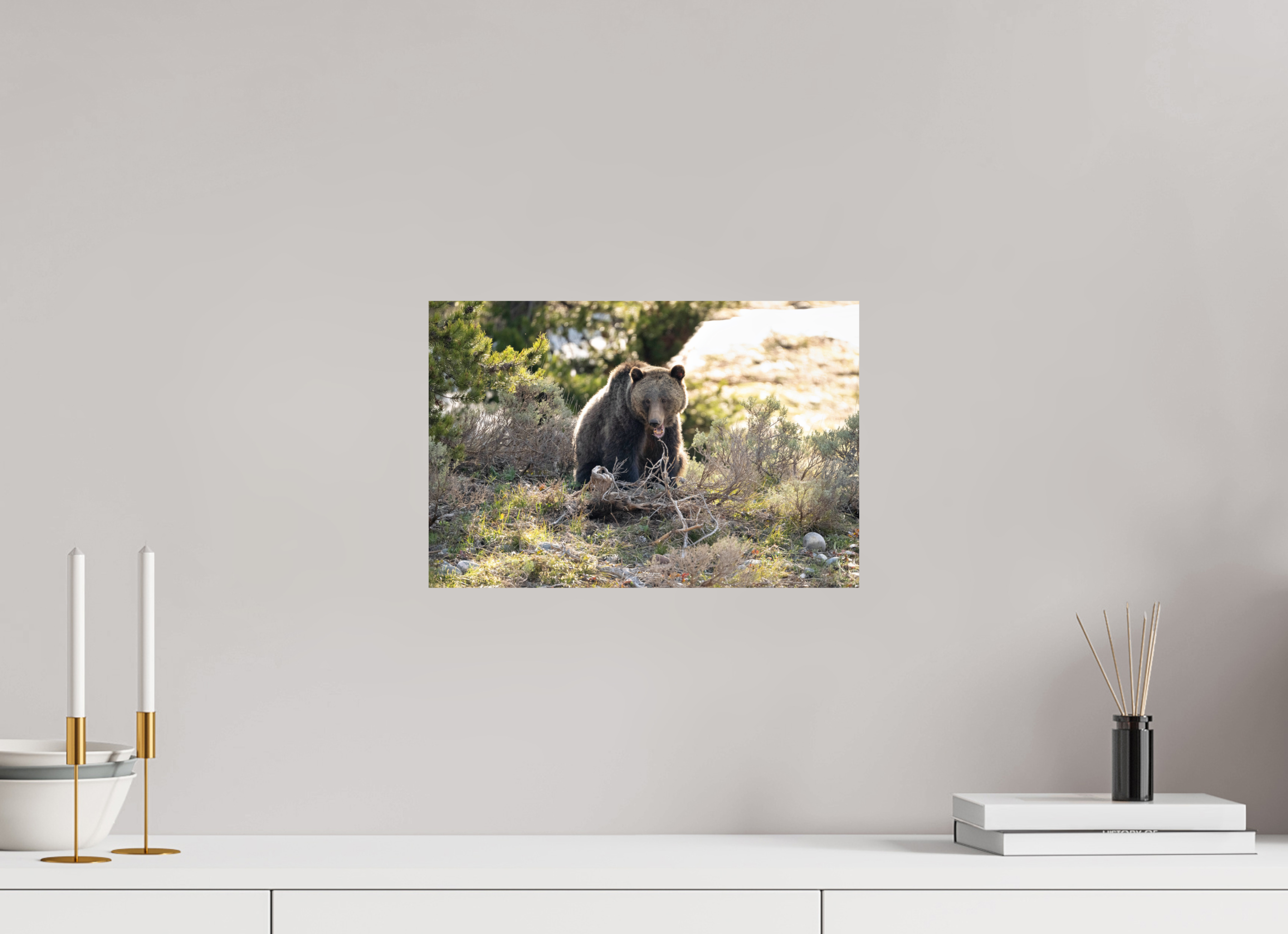 15 x 10″, Photo Print On Fuji Crystal DP II 1063