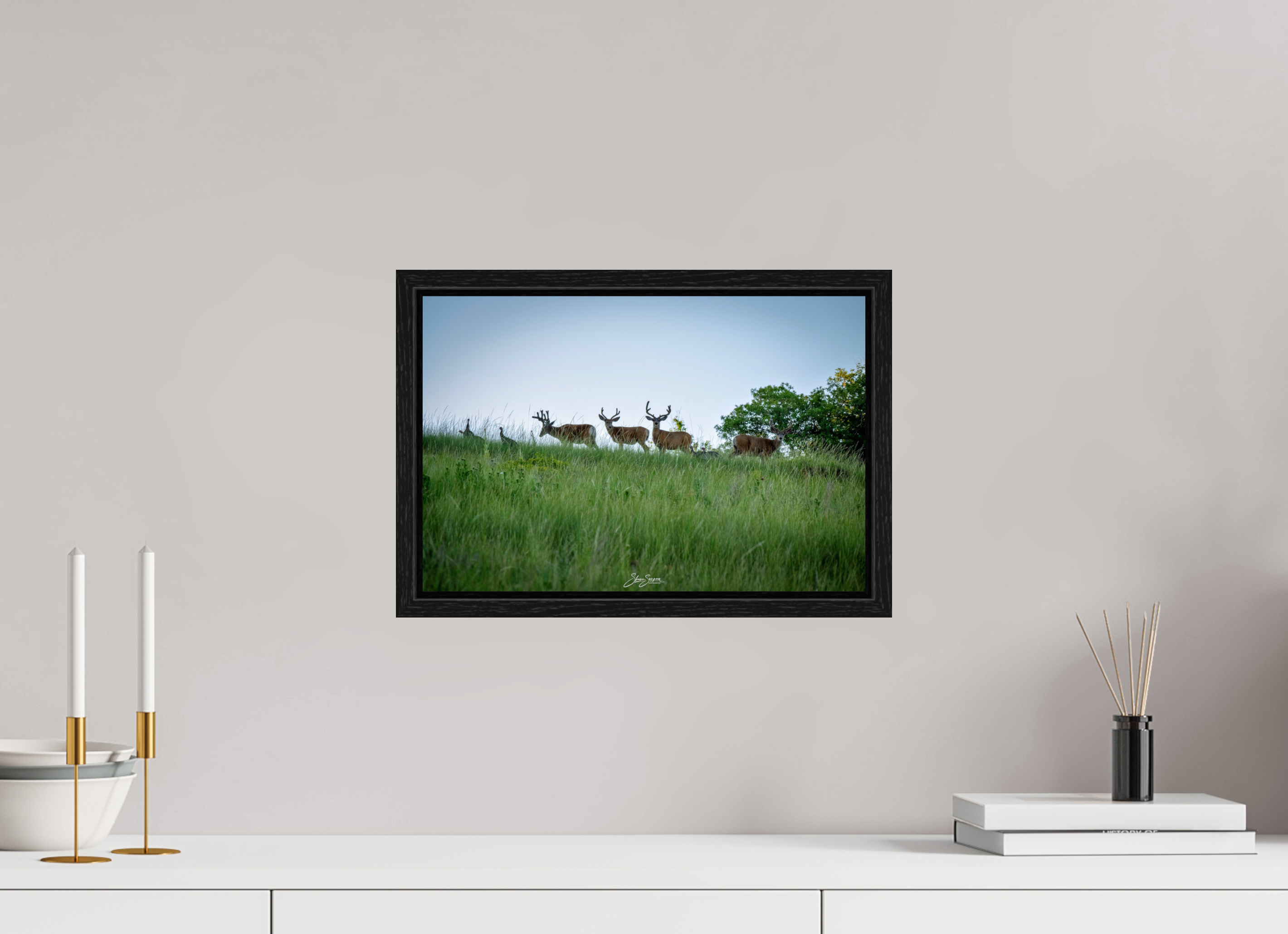 15 x 10″, Floater Frame Deer