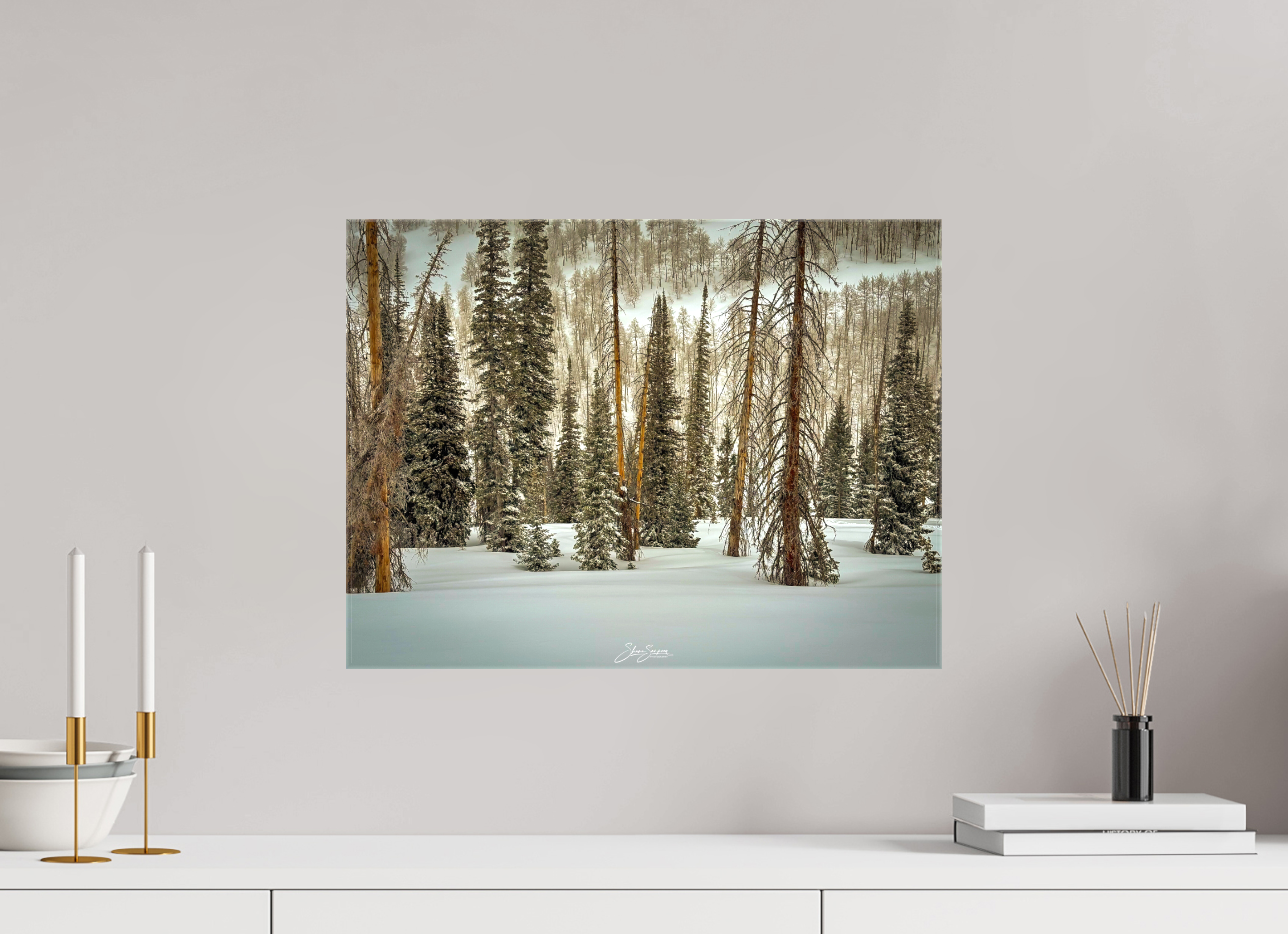 20 x 15″, Canvas Winter in the pine