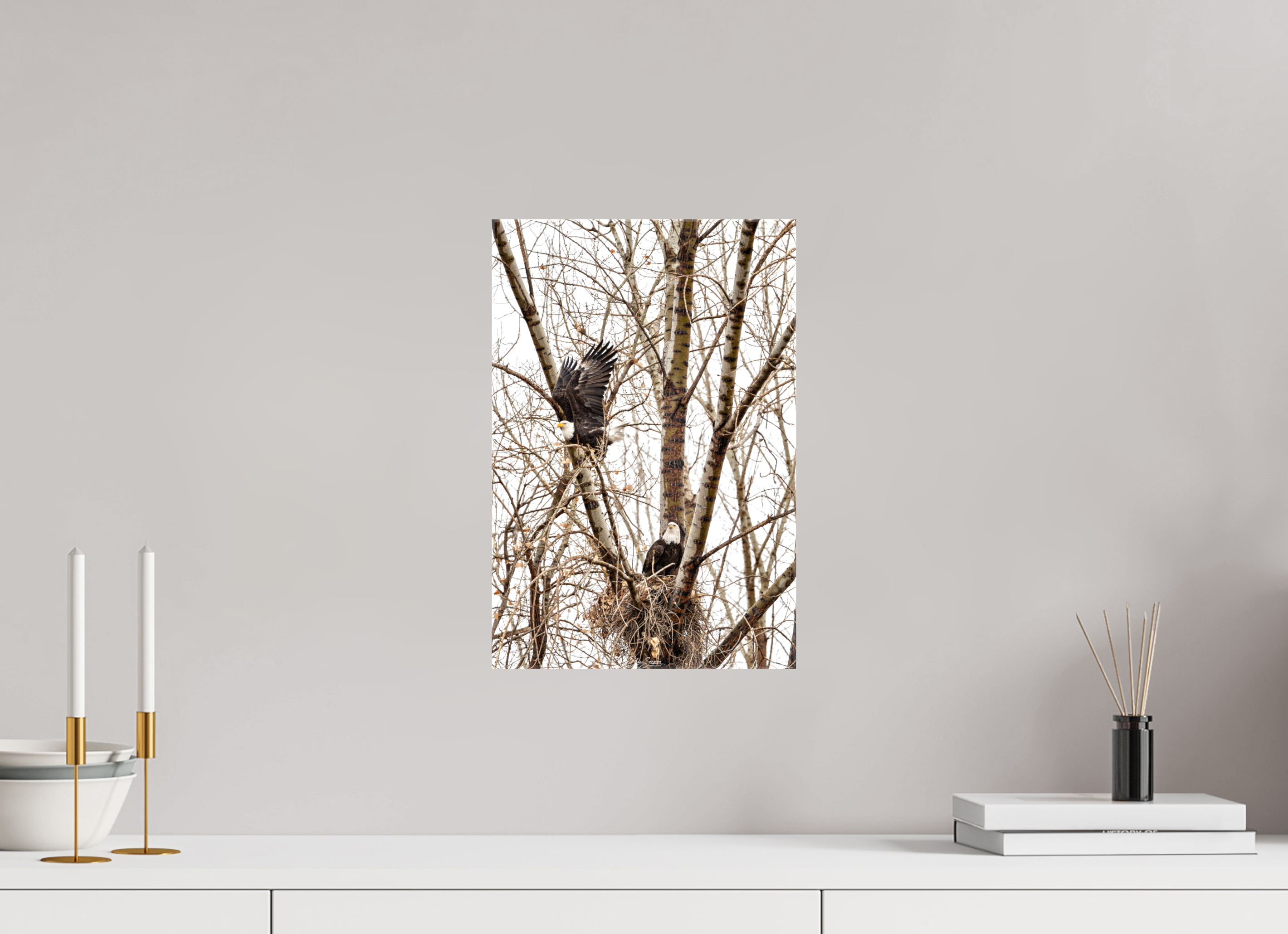 10 x 15″, Canvas Eagles