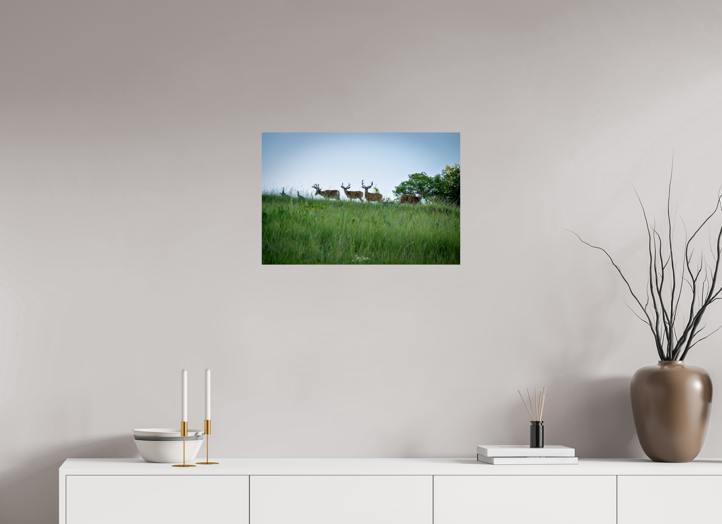 24 x 16″, Photo Print On Fuji Crystal DP II Deer