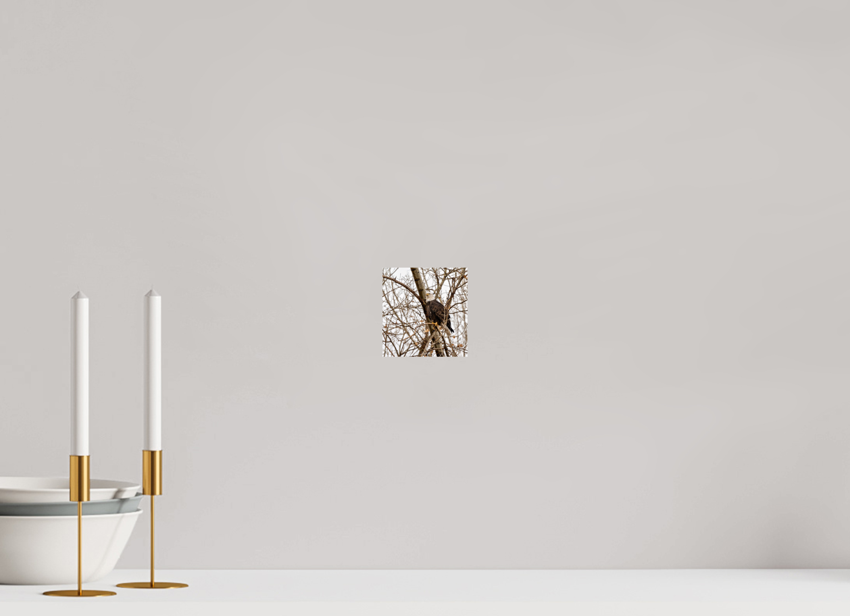 4 x 4.2″, Photo Print On Fuji Crystal DP II Eagle