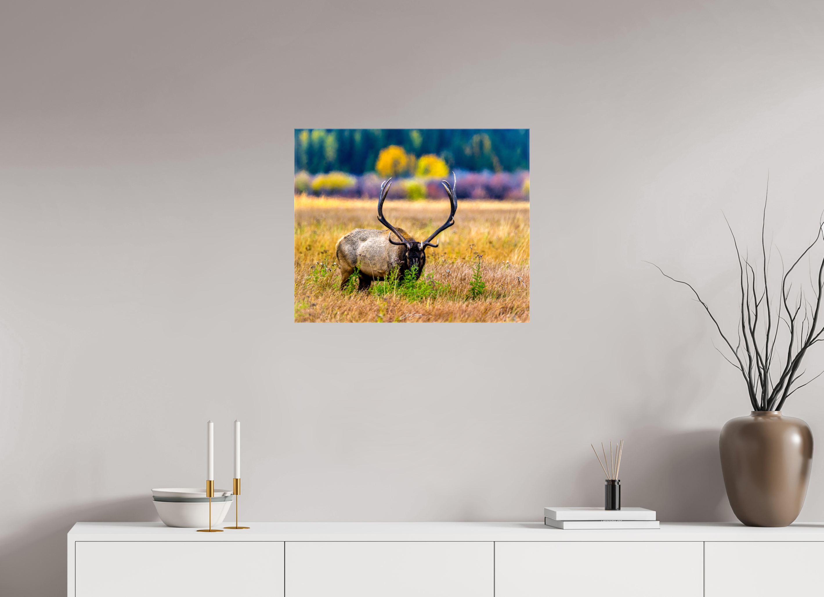 24.3 x 20″, Canvas Elk