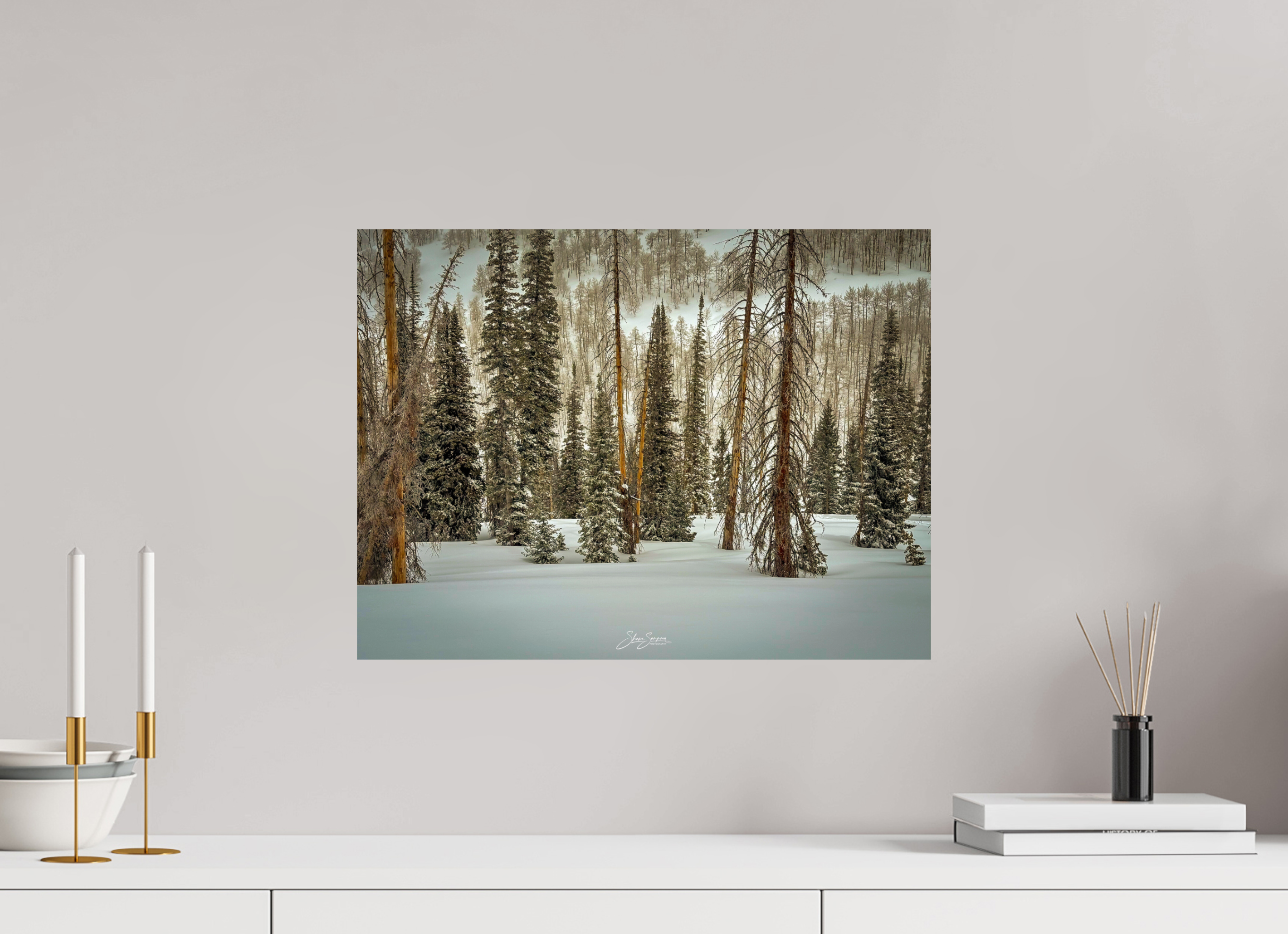 20 x 15″, Photo Print On Fuji Crystal DP II Winter in the pine