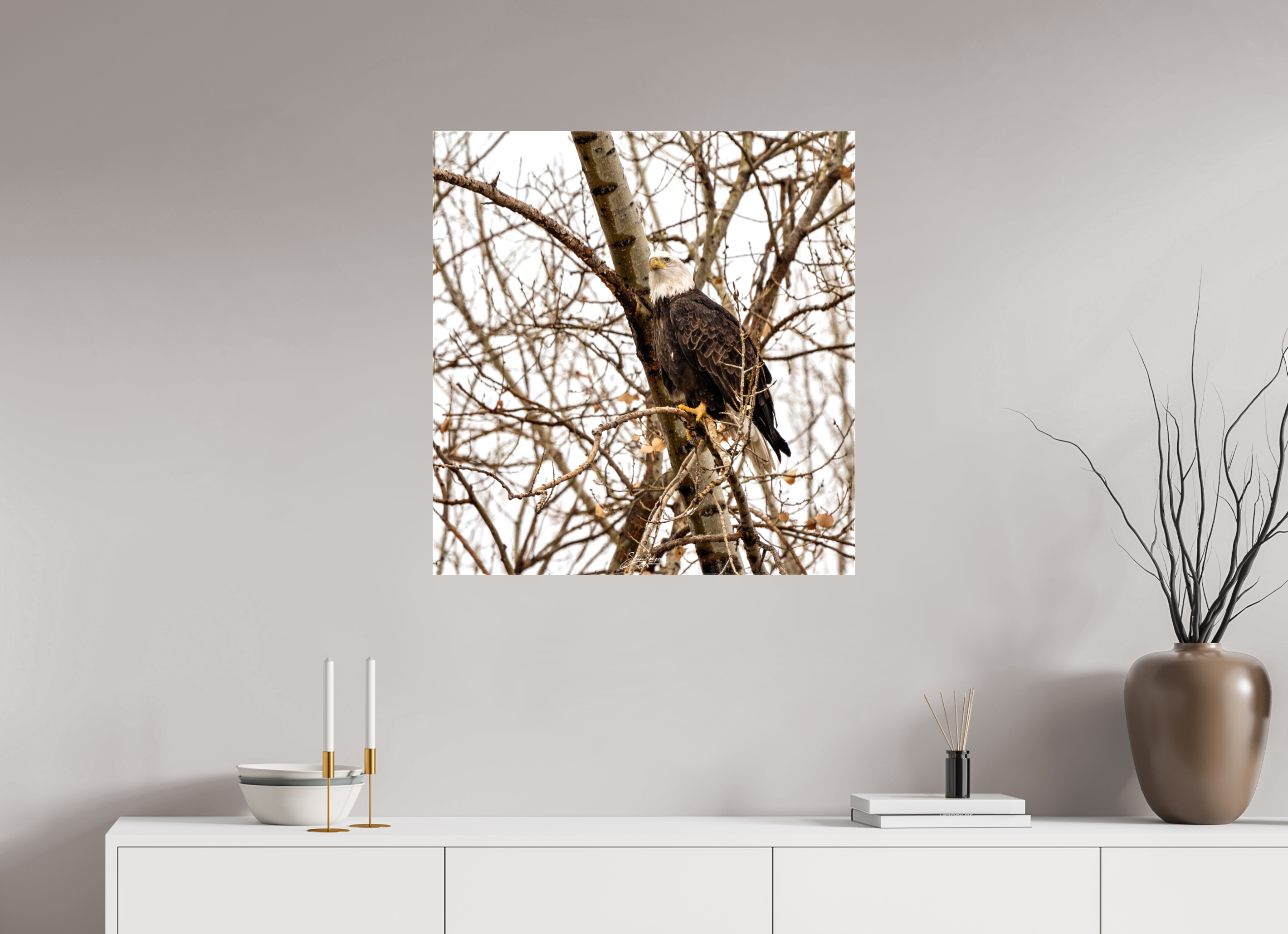 28 x 29.4″, Canvas Eagle