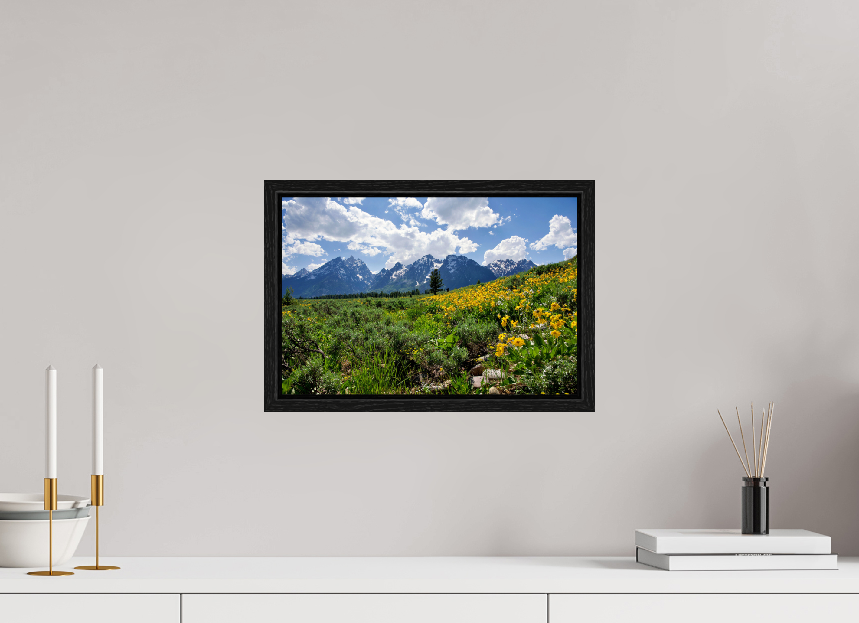 15 x 10″, Floater Frame Tetons in sunflowers