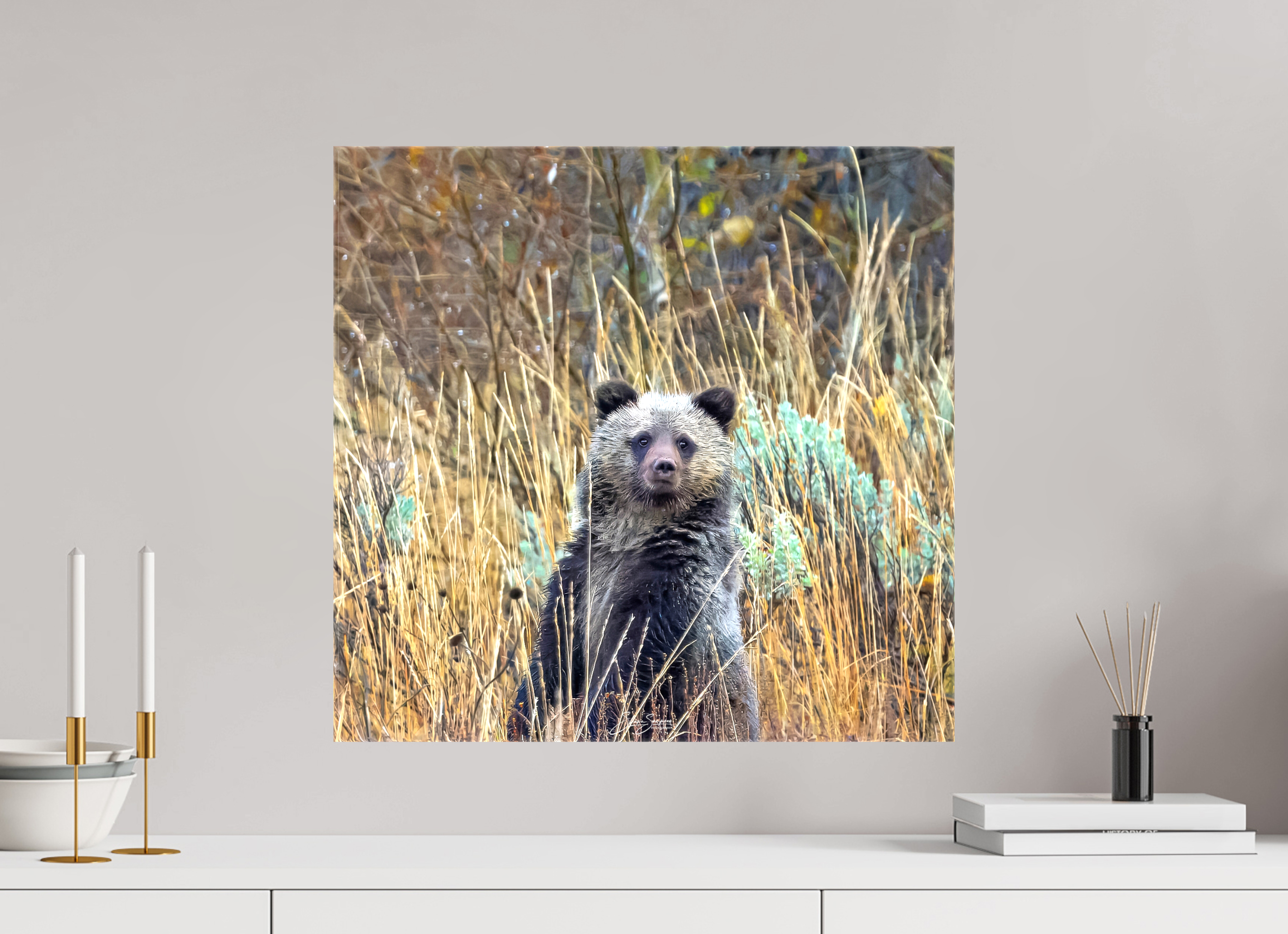 20.9 x 20″, Canvas Cube looking for mom