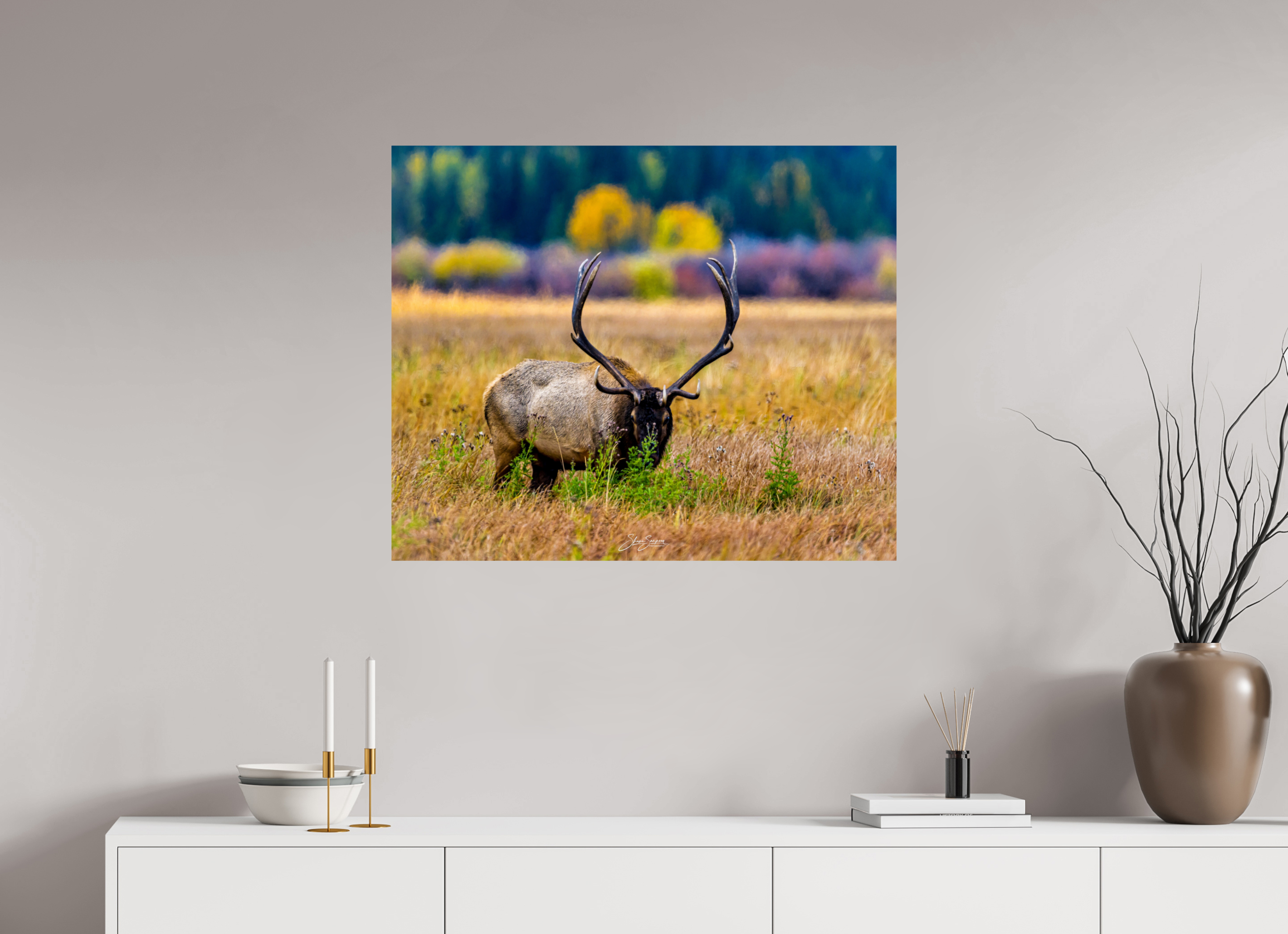 34.1 x 28″, Metal Elk
