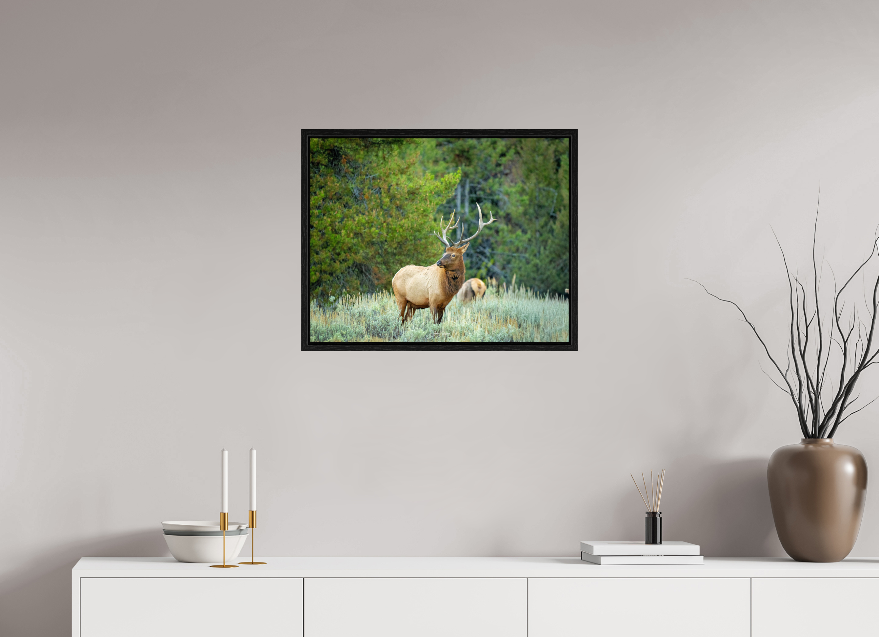 25.3 x 20″, Floater Frame Elk