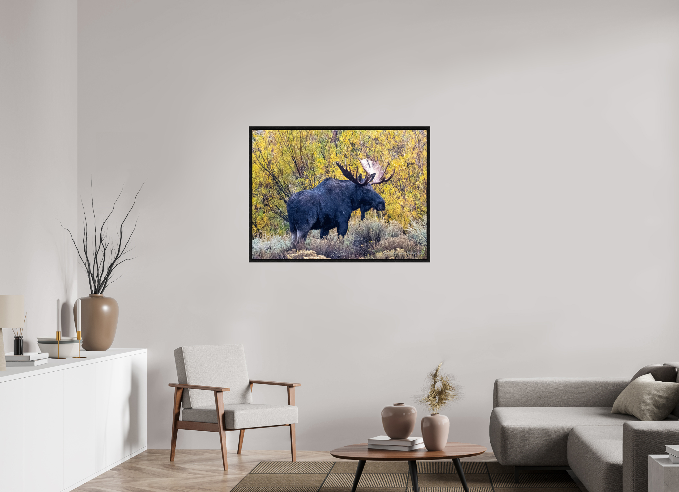 41.9 x 31″, Floater Frame Moose
